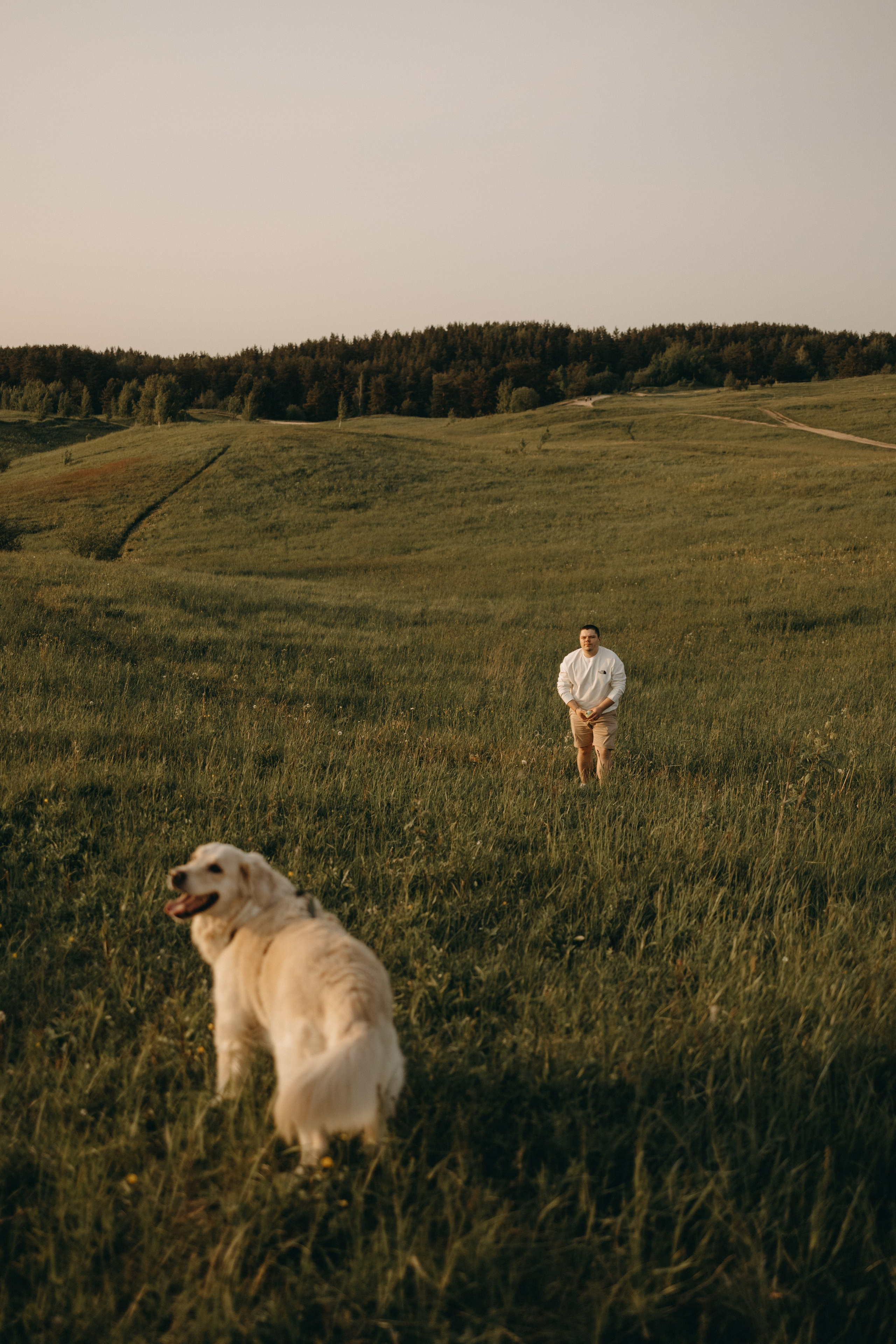 Милка и ребята. Фотограф — Анималист | Санкт-Петербург