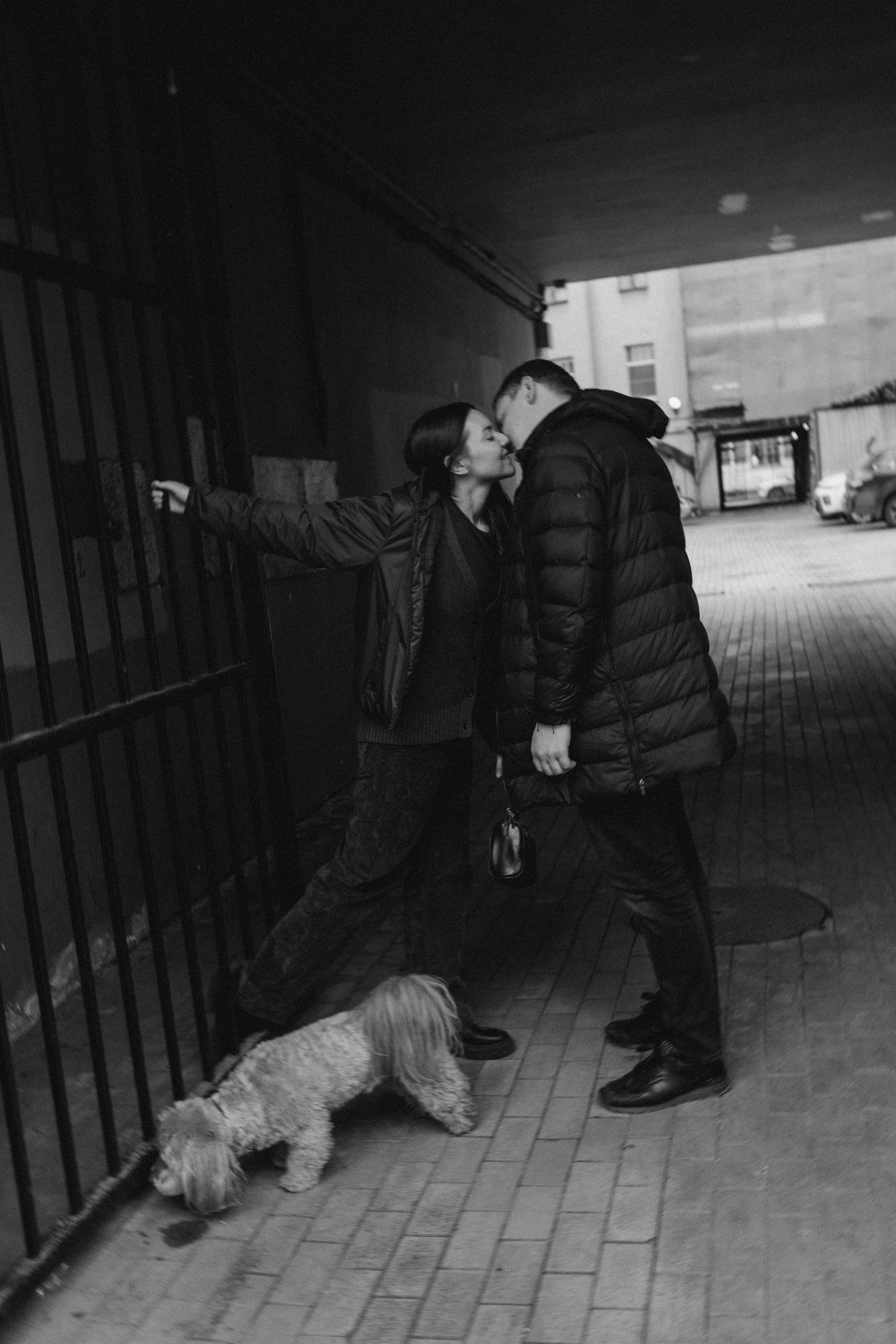 Шкипер и его семья. Фотограф — Анималист | Санкт-Петербург