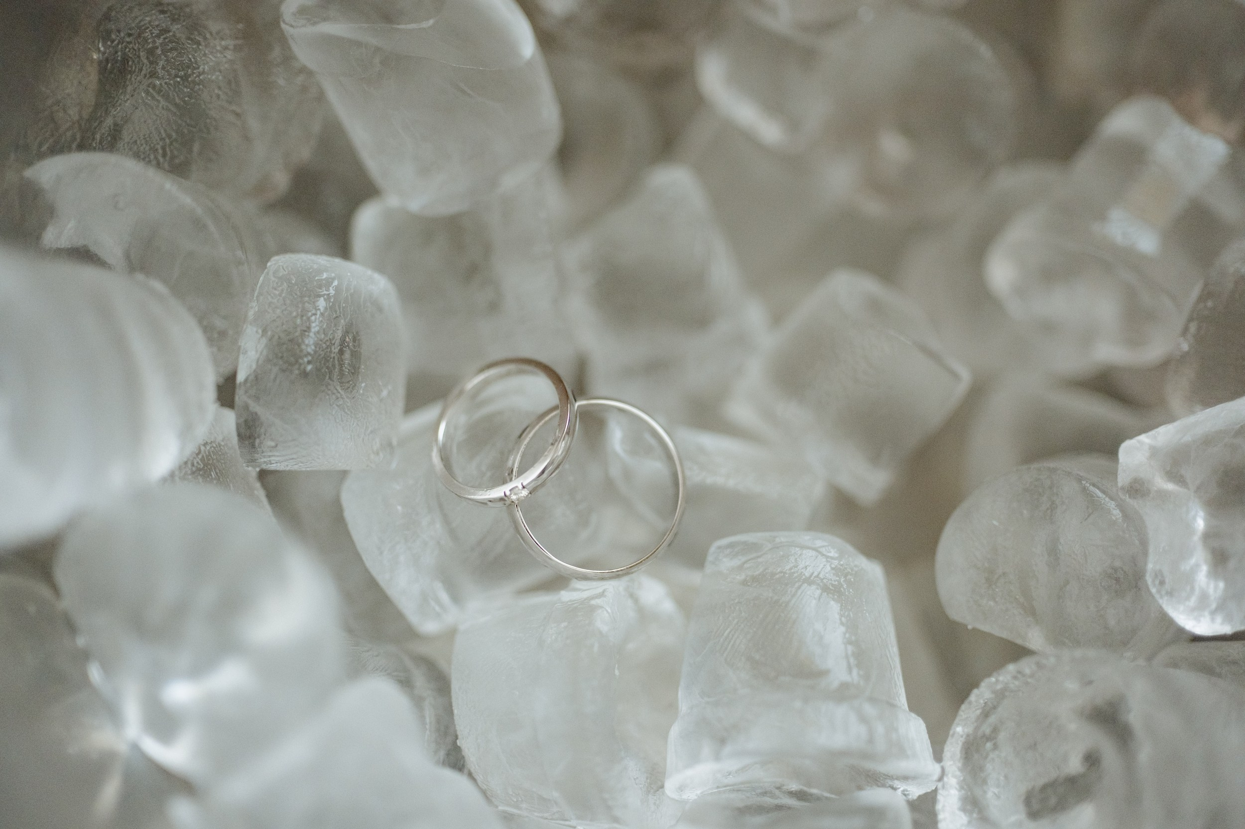 обручальные кольца фотография