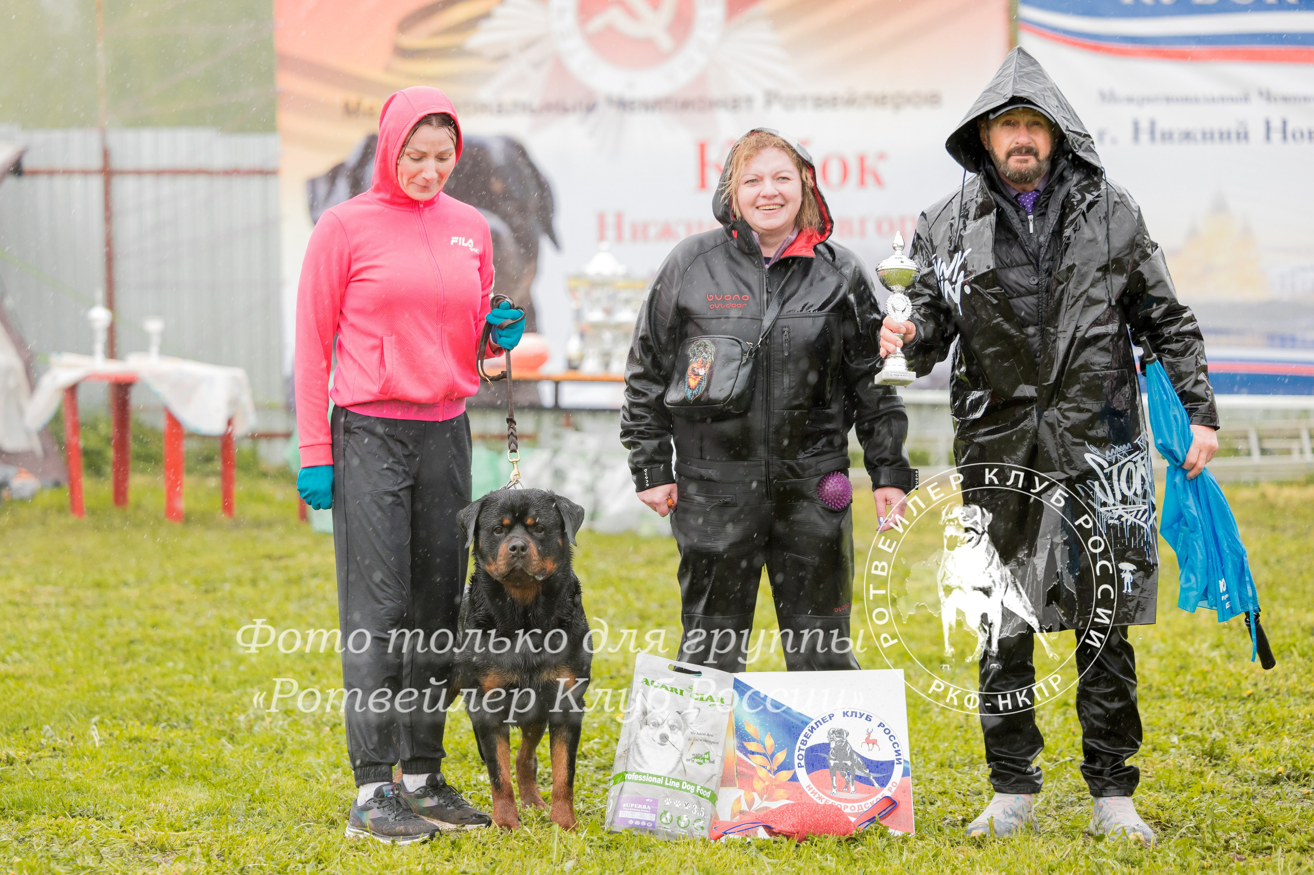 Нижний Новгород 2хмоно ротвейлеров 10-11.05.2025. Фотограф-анималист Юлия Германика