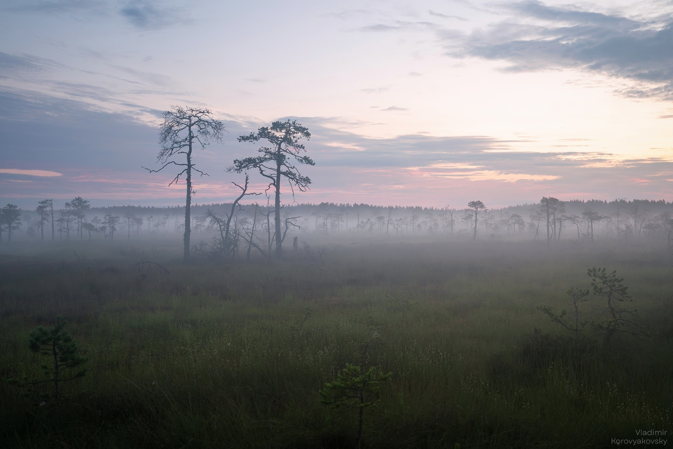 Природа. Фотограф Владимир Коровяковский