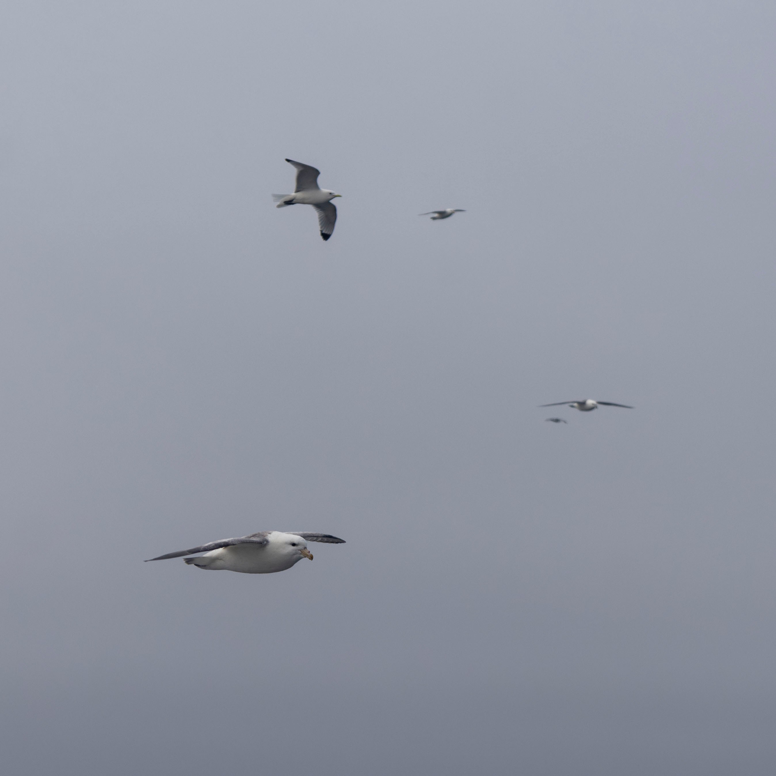 Когда я в море. Часть 2. Фотограф г. Владивосток