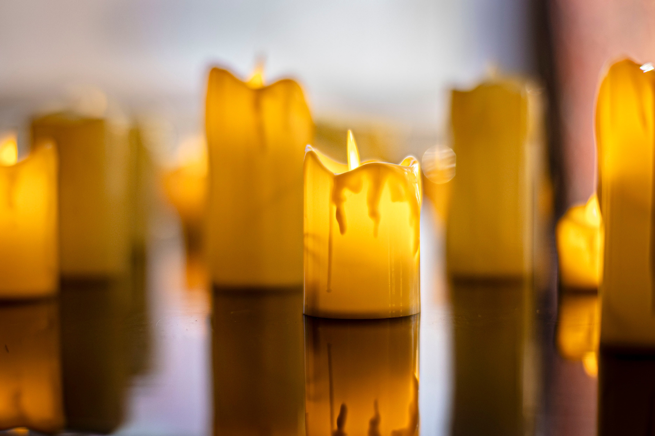 Библиотека им. Горького г. Владивосток. Фотограф г. Владивосток