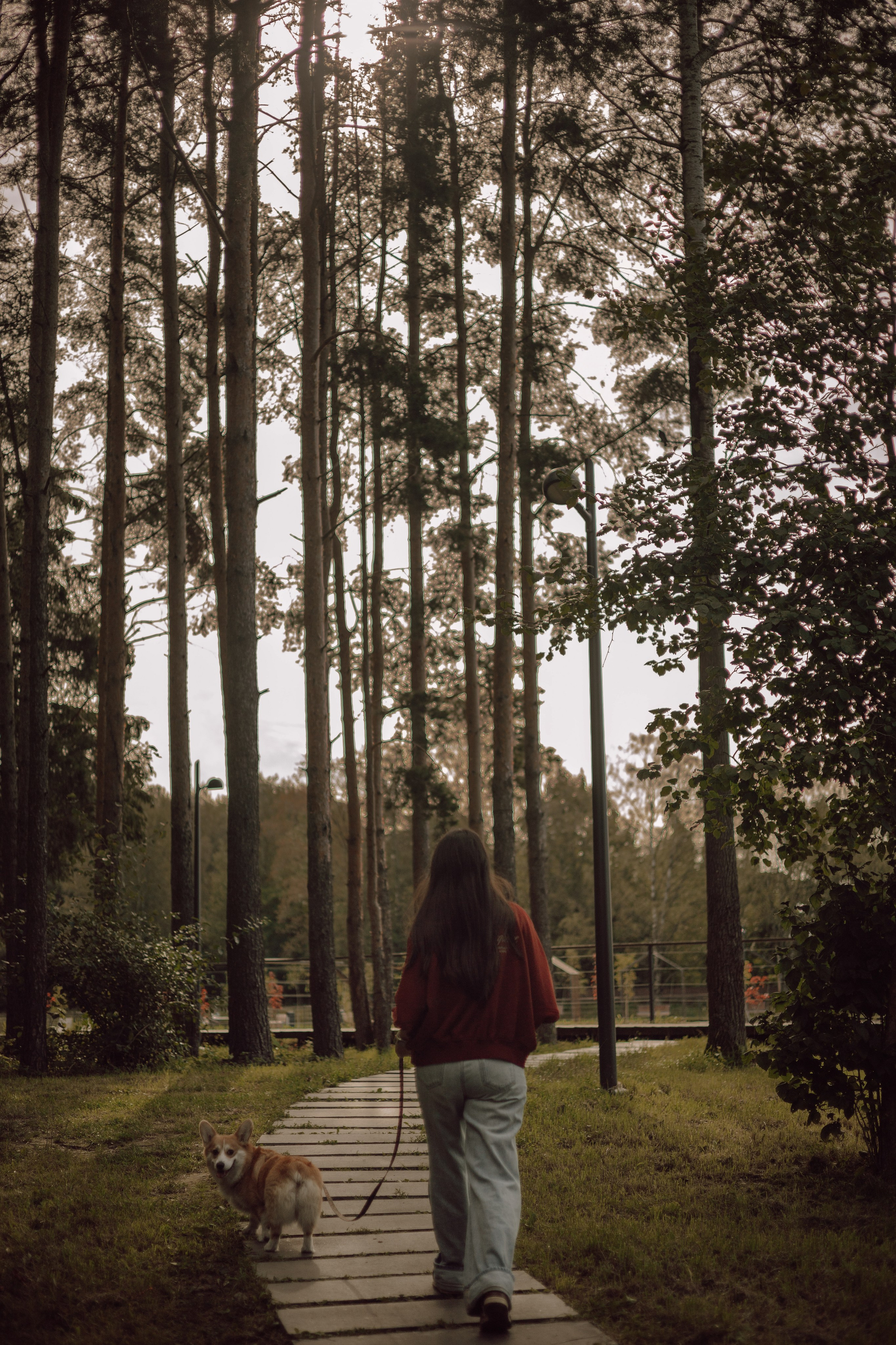 Мари & Йосик. Фотограф — анималист •love-story•|Санкт-Петербург