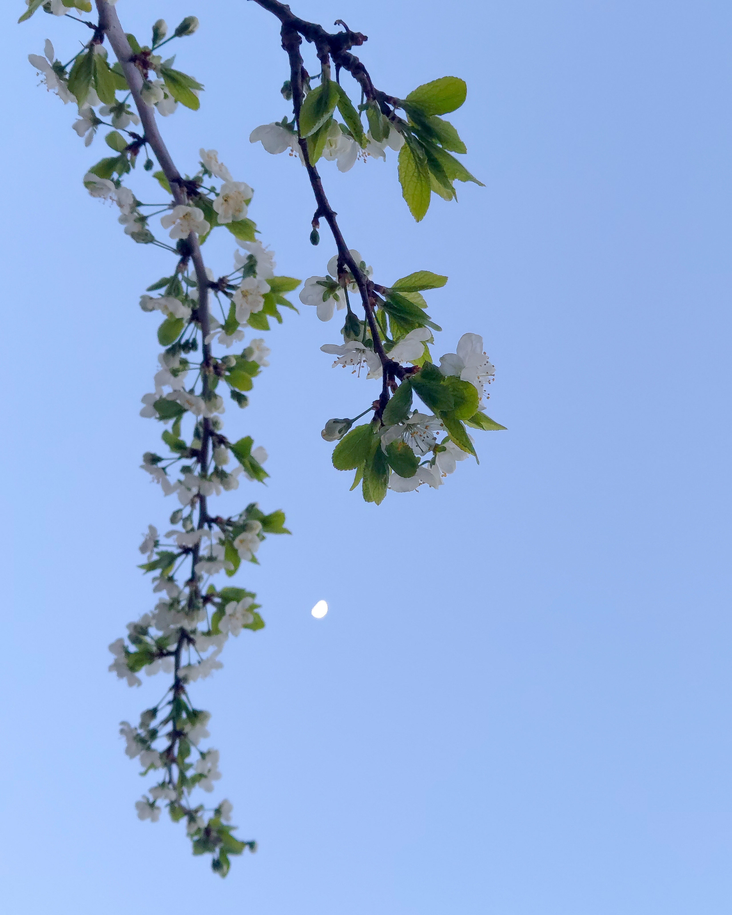 Стрит-фотография, пейзаж. Фотограф в Пскове и Санкт-Петербурге Татьяна Рейнелл