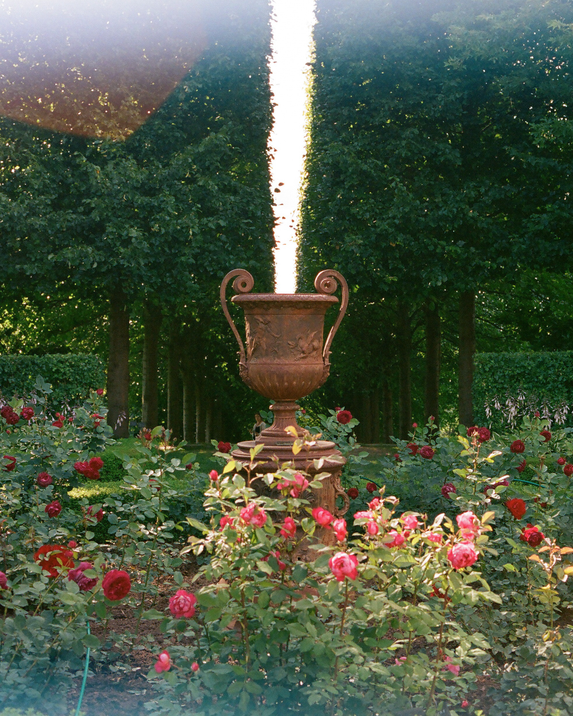 плёнка Kodak portra400