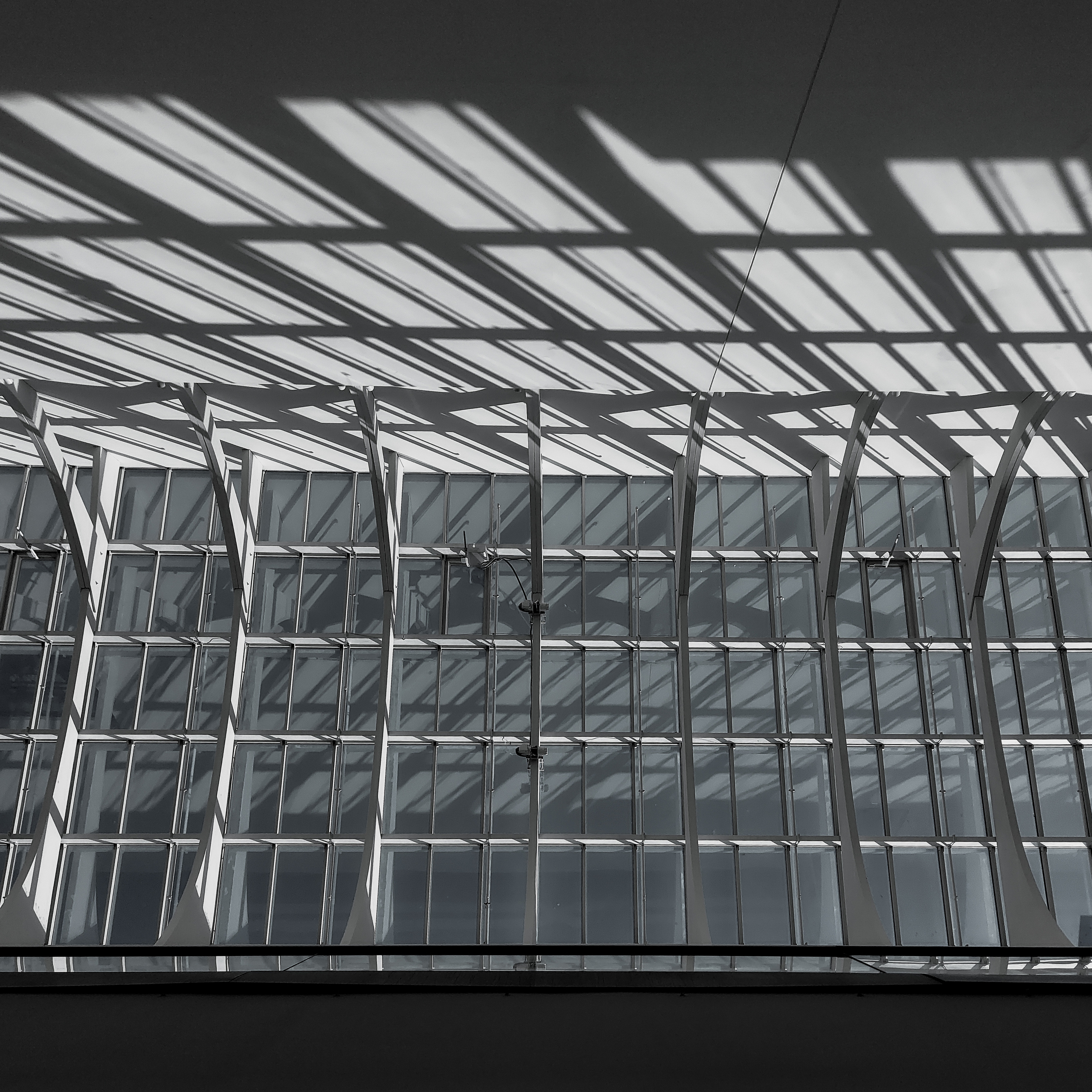 Стрит-фотография, пейзаж. Фотограф в Пскове и Санкт-Петербурге Татьяна Рейнелл