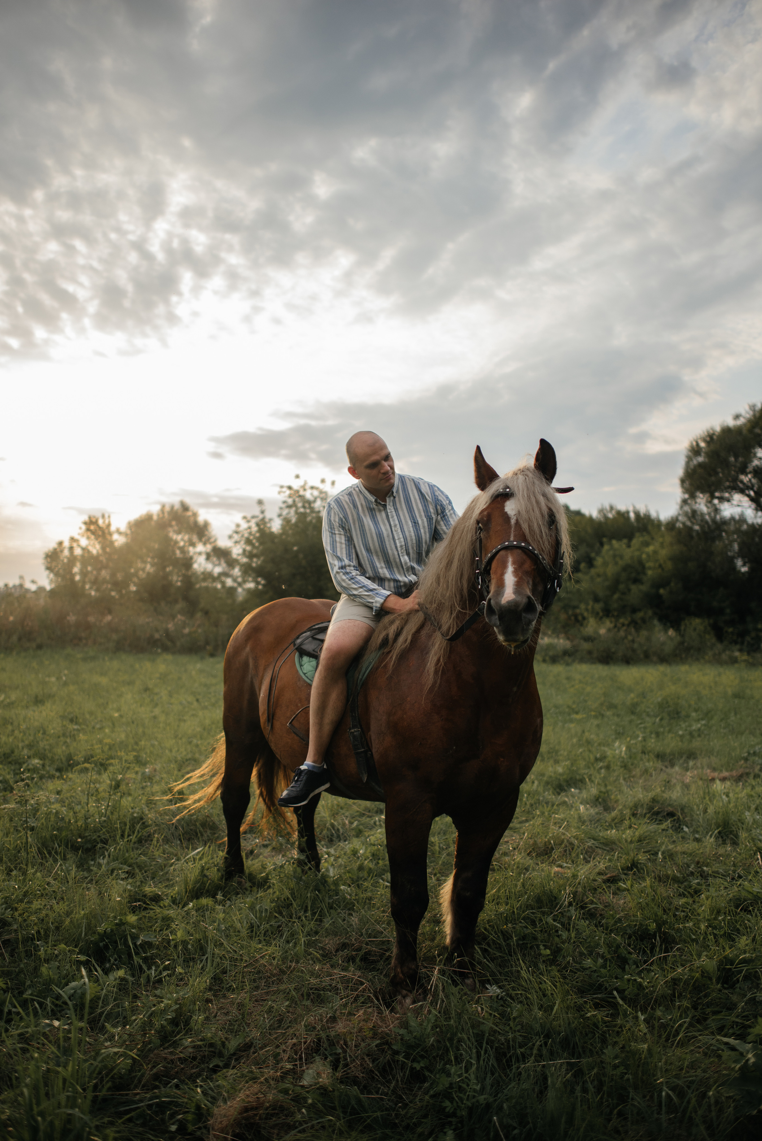 Фотосессия в лошадкой. Свадебный фотограф Белгород