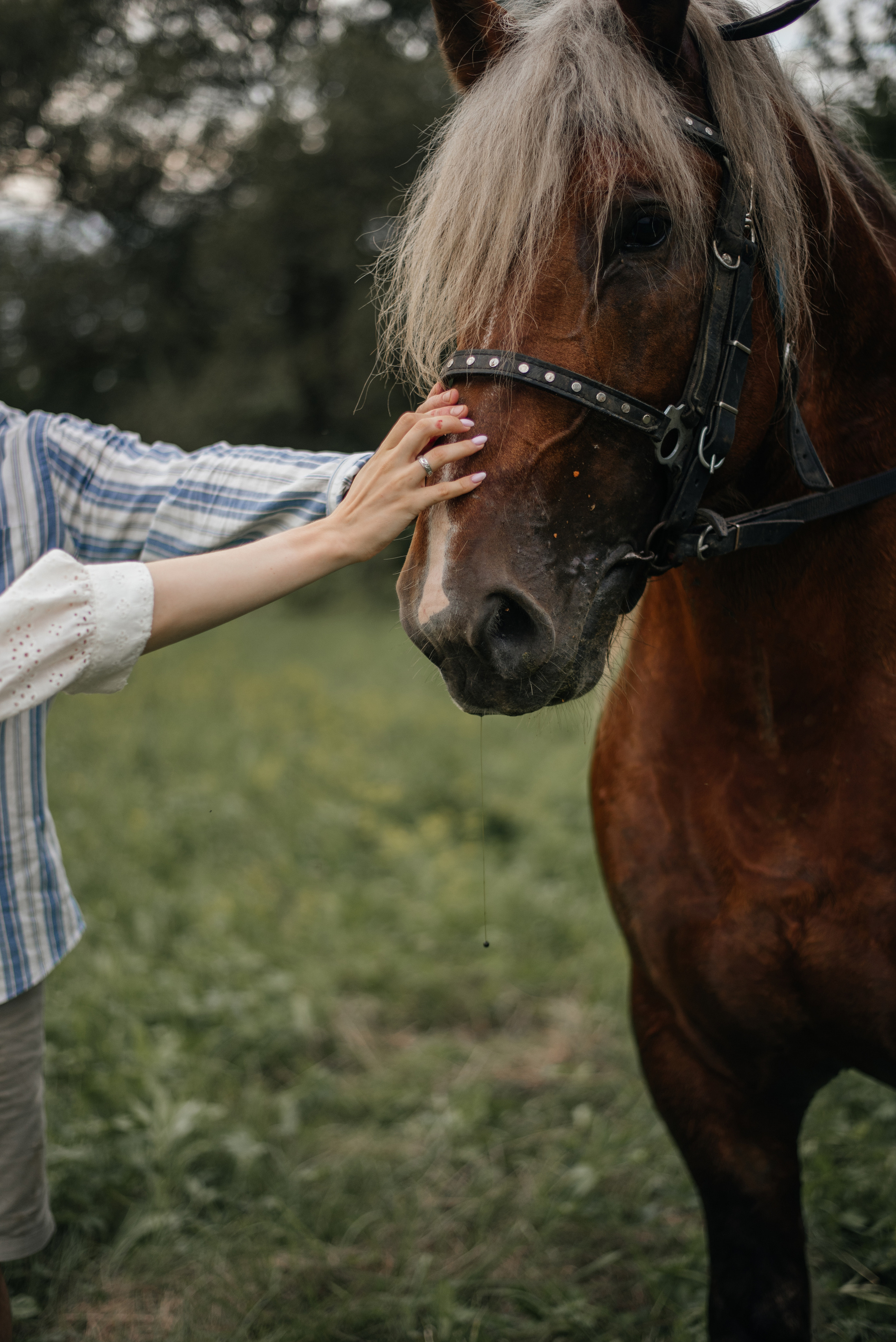 Фотосессия в лошадкой. Свадебный фотограф Белгород
