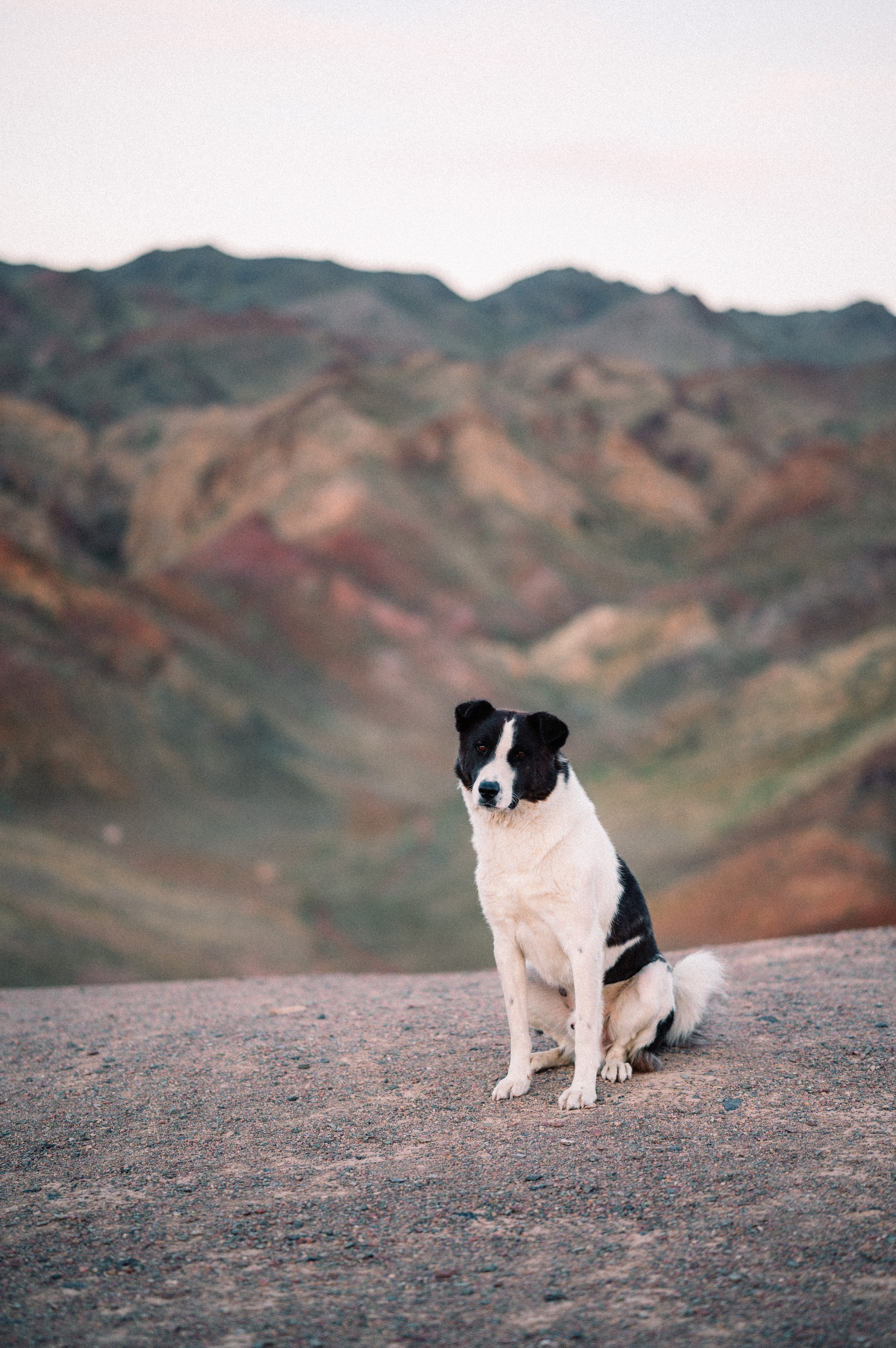 Чарын-Кольсай: лето 2024. Фотограф в Алматы — Дарья Фёдорова
