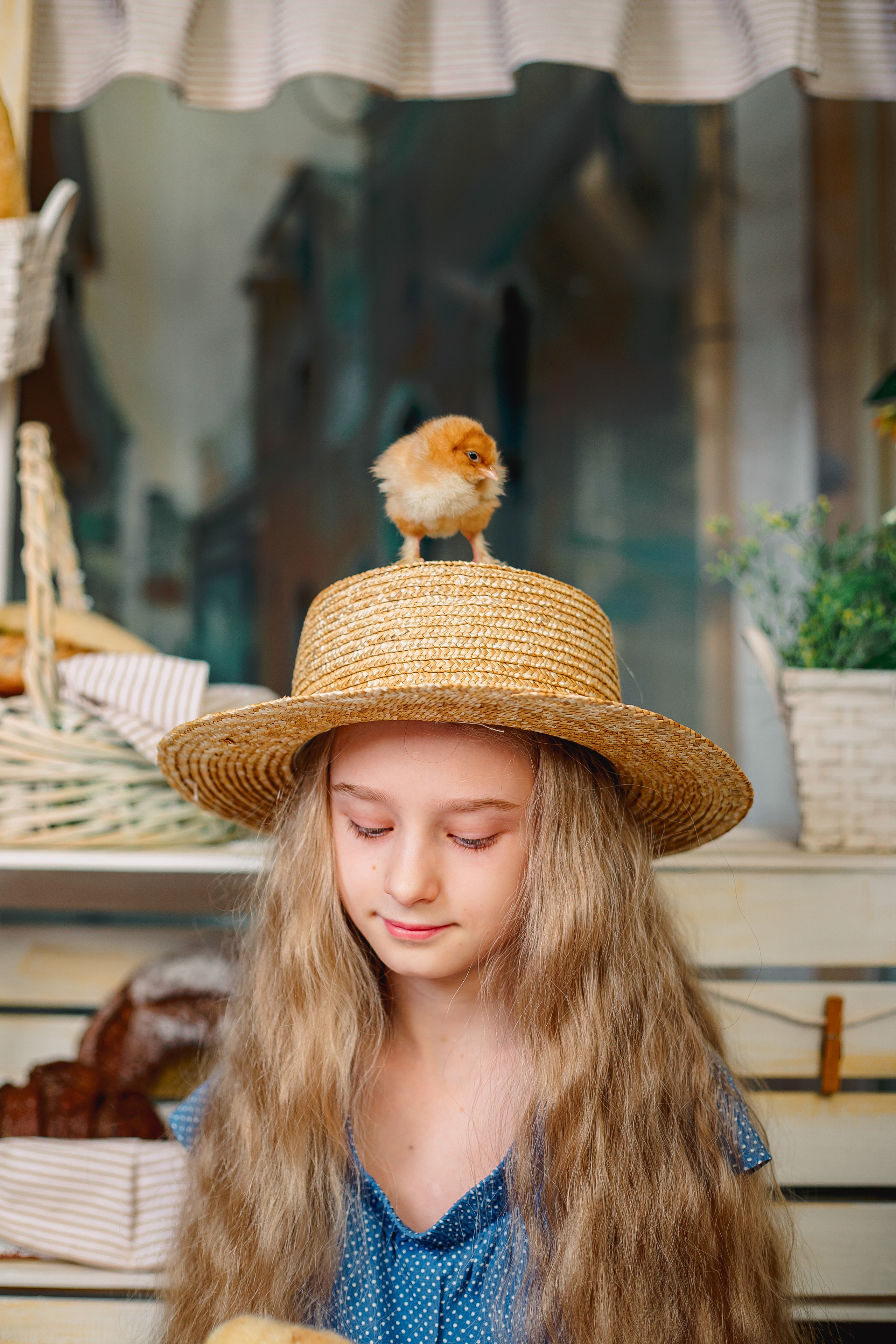 Фотодень с цыплятами Спб. Фотограф в Санкт-Петербурге, Анна Скворцова