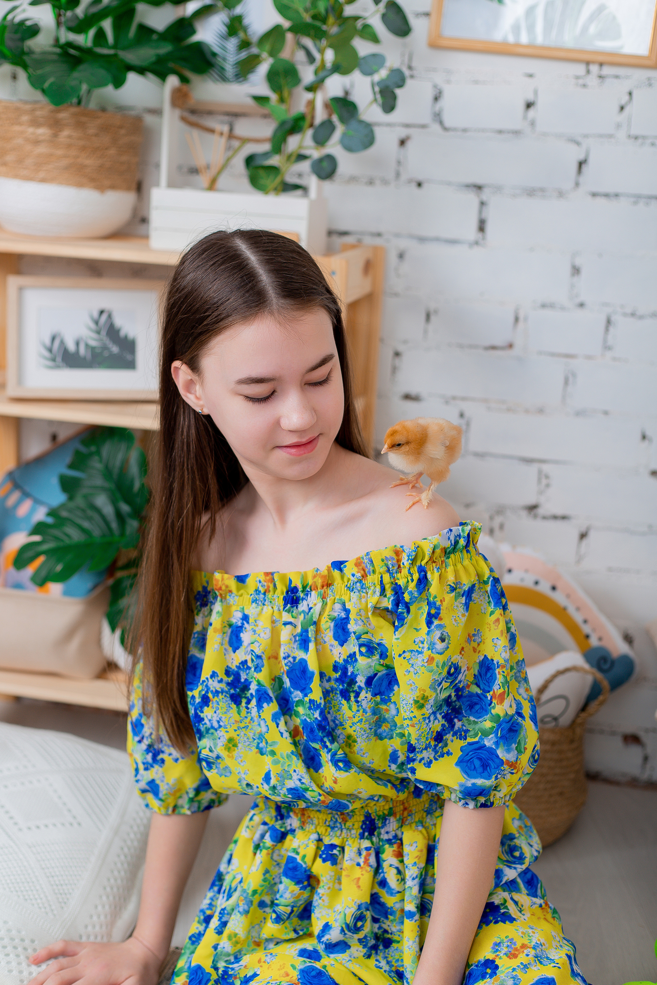 Фотодень с цыплятами Спб. Фотограф в Санкт-Петербурге, Анна Скворцова