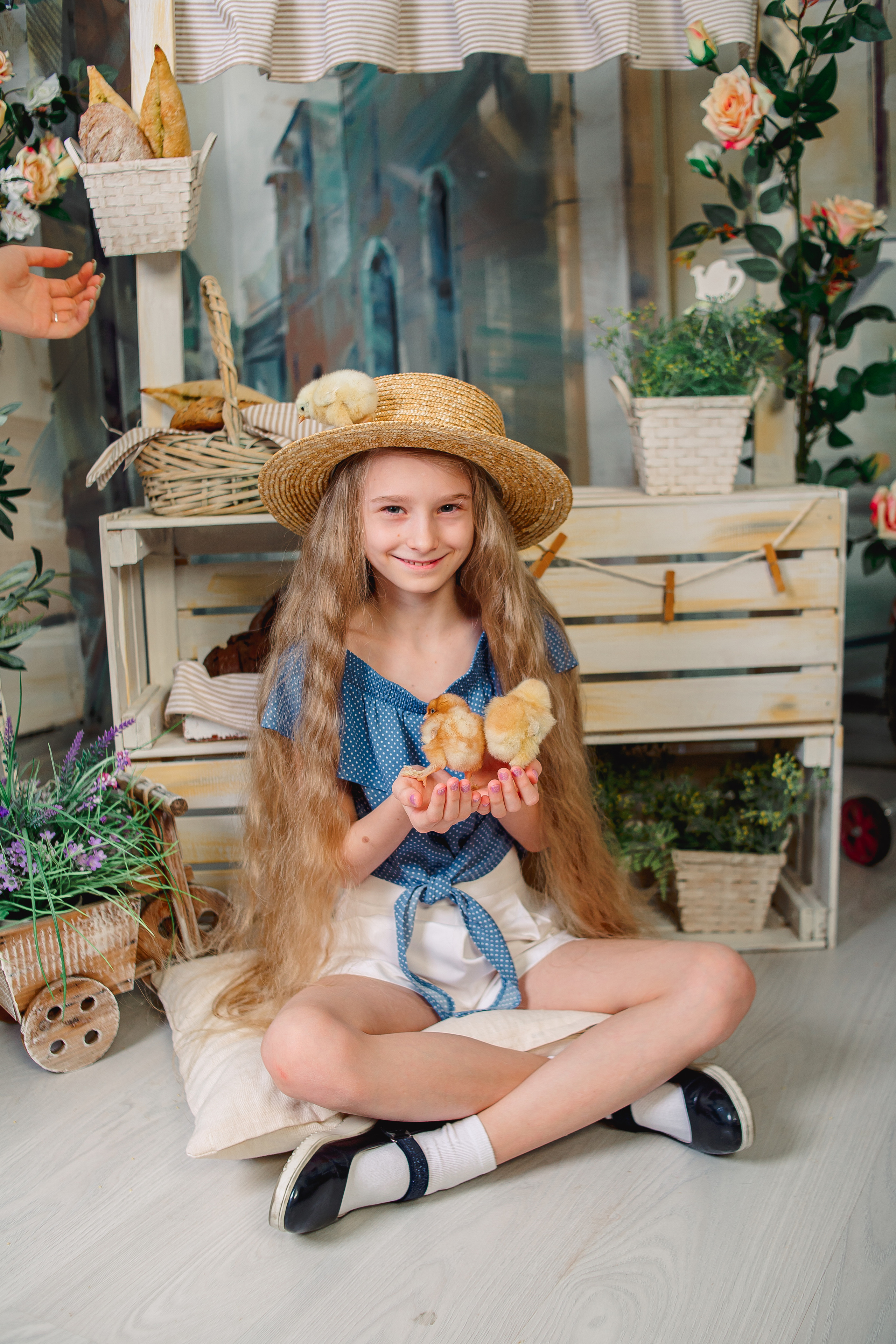 Фотодень с цыплятами Спб. Фотограф в Санкт-Петербурге, Анна Скворцова