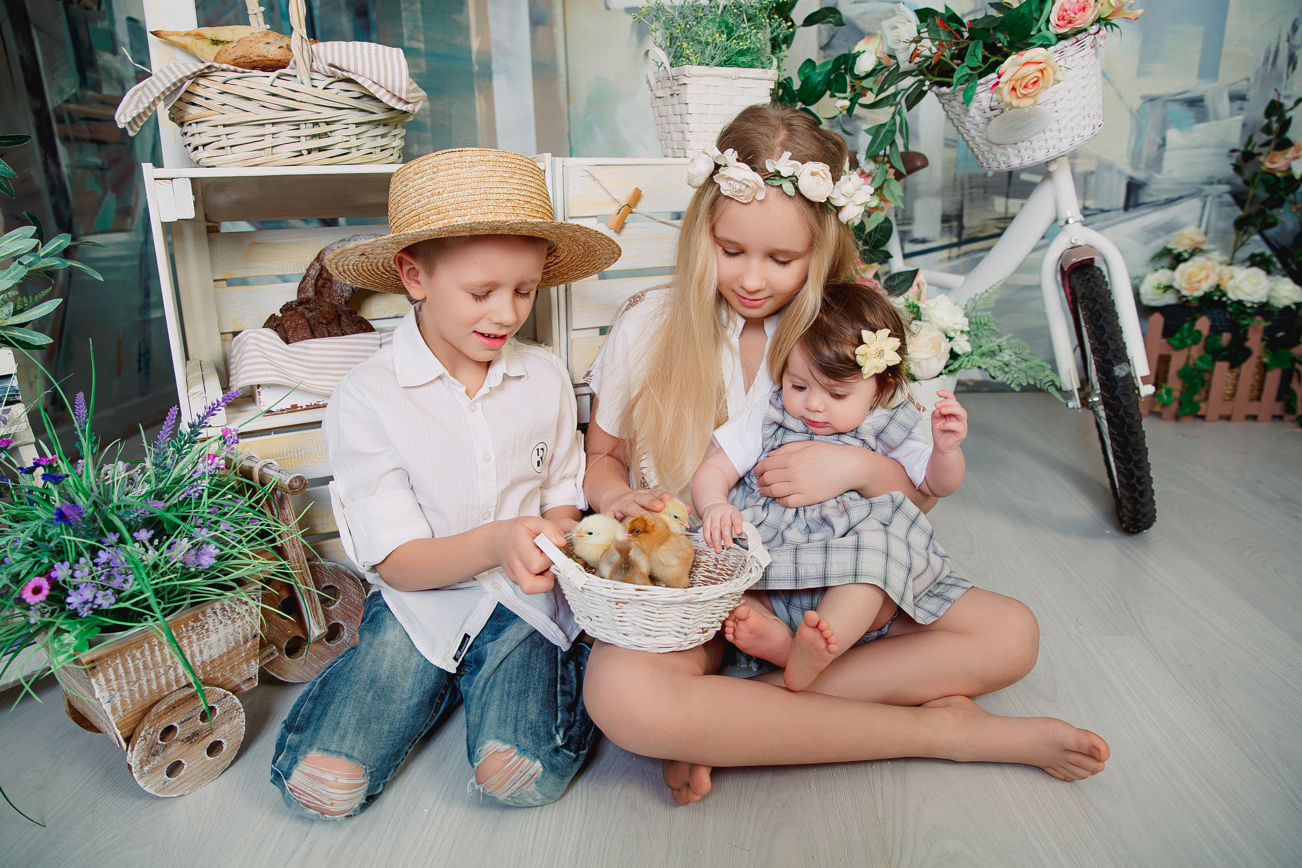 Фотодень с цыплятами Спб. Фотограф в Санкт-Петербурге, Анна Скворцова