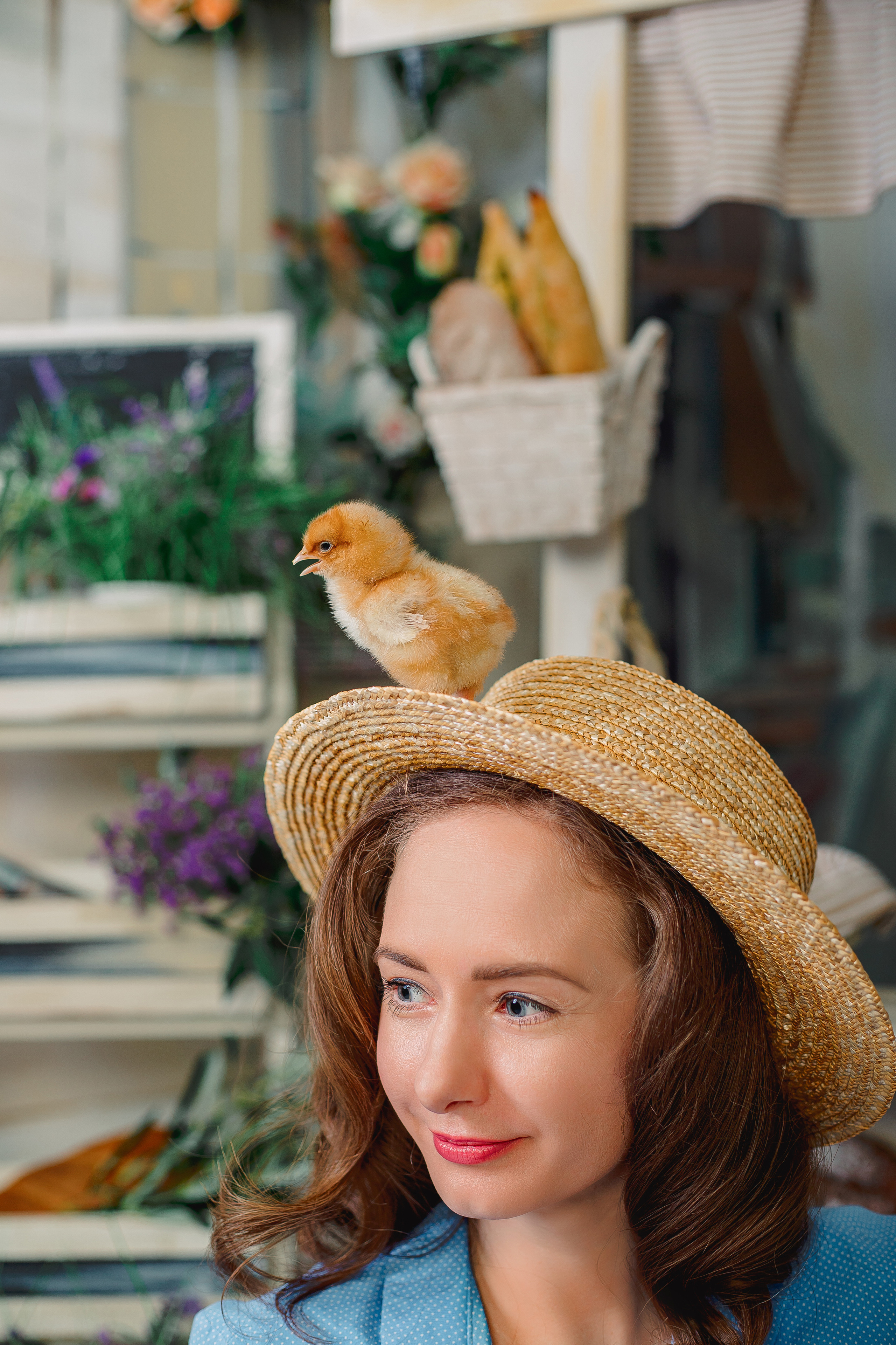 Фотодень с цыплятами Спб. Фотограф в Санкт-Петербурге, Анна Скворцова