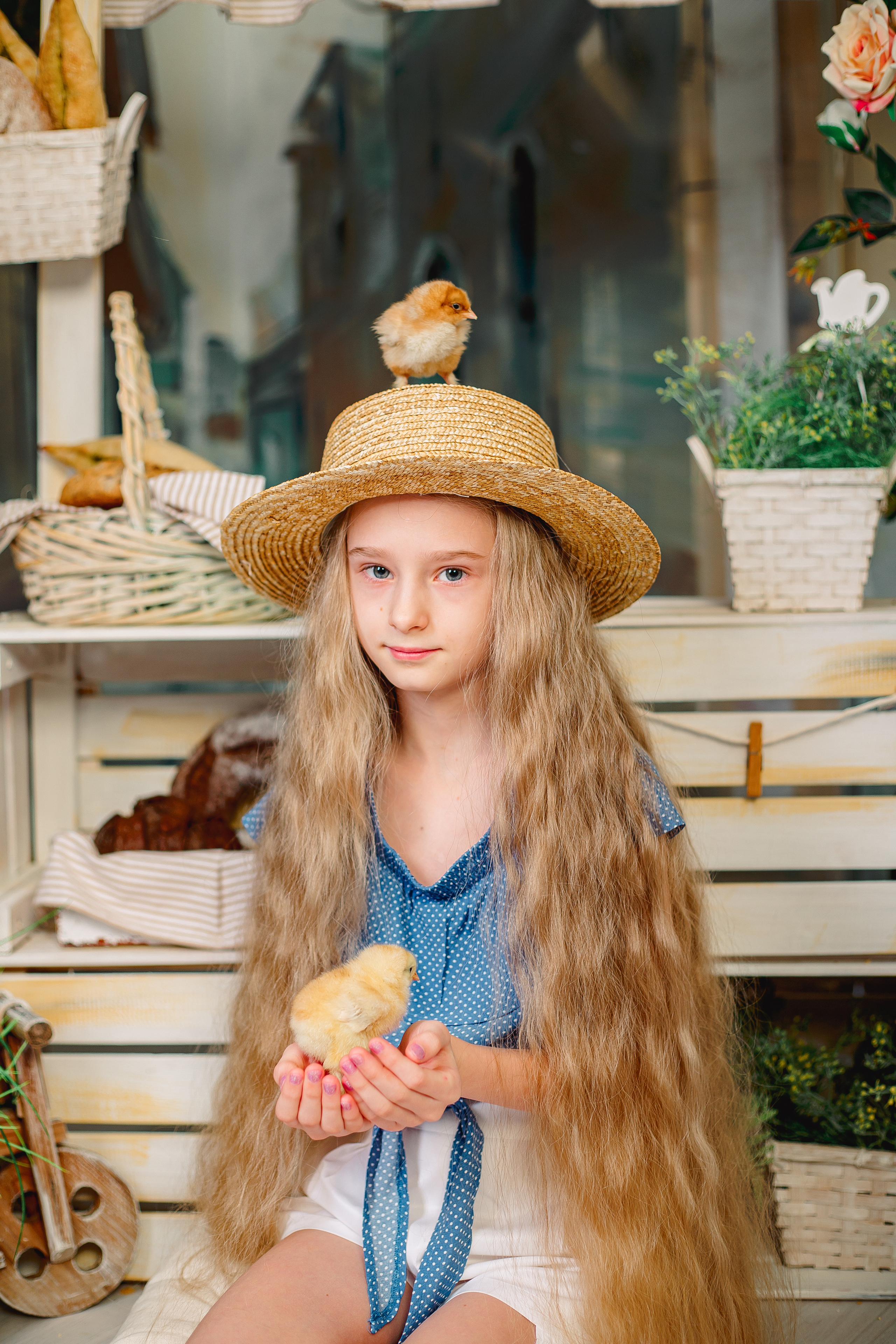 Фотодень с цыплятами Спб. Фотограф в Санкт-Петербурге, Анна Скворцова