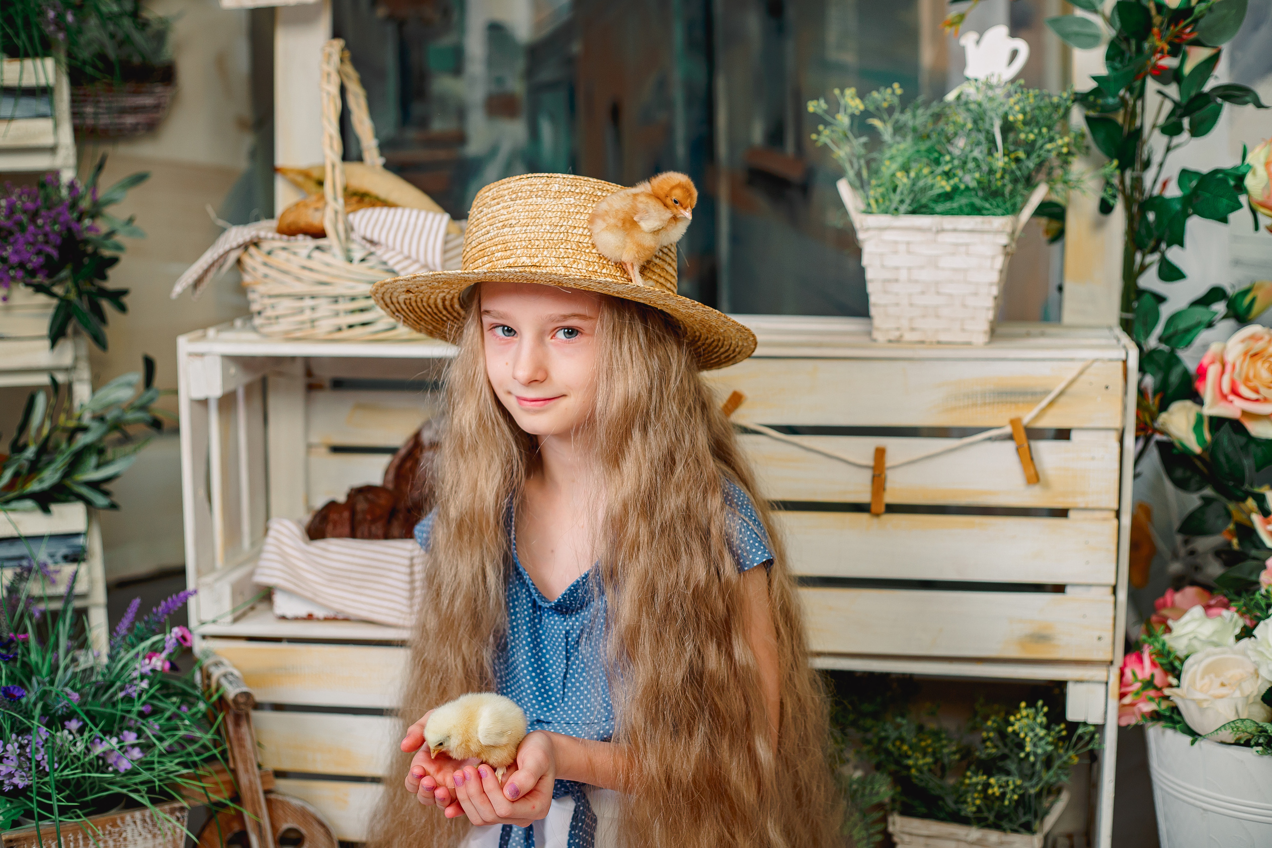 Фотодень с цыплятами Спб. Фотограф в Санкт-Петербурге, Анна Скворцова