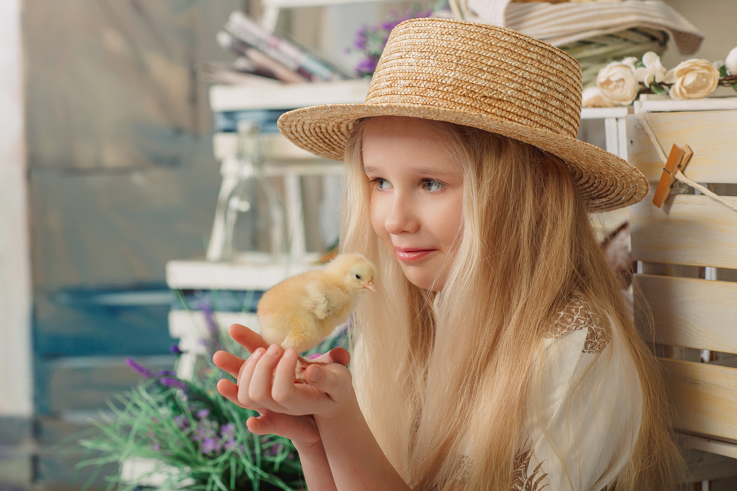 Фотодень с цыплятами Спб. Фотограф в Санкт-Петербурге, Анна Скворцова