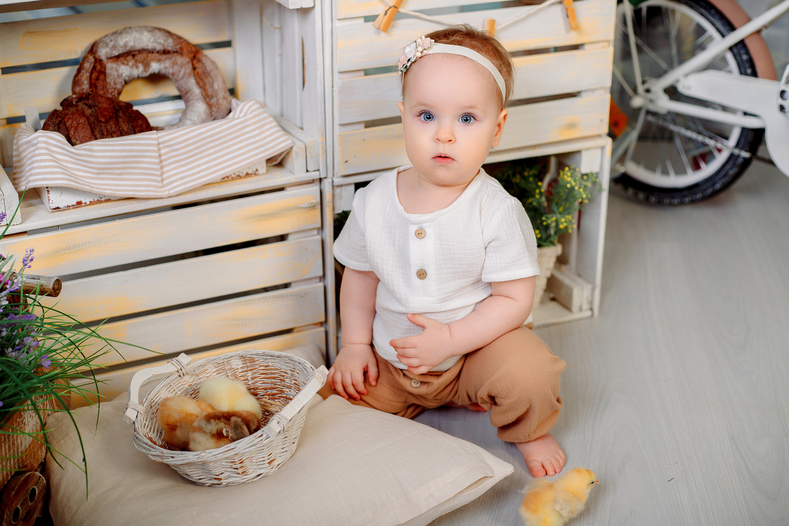 Фотодень с цыплятами Спб. Фотограф в Санкт-Петербурге, Анна Скворцова