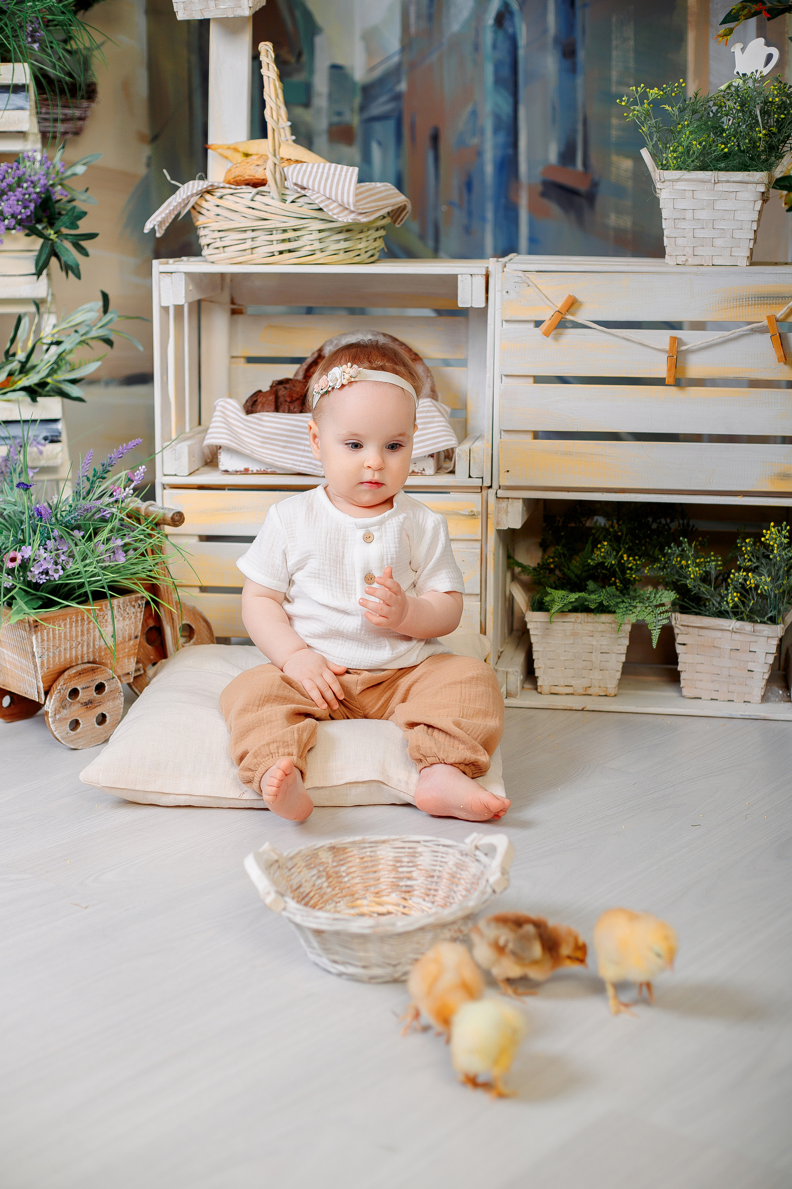 Фотодень с цыплятами Спб. Фотограф в Санкт-Петербурге, Анна Скворцова