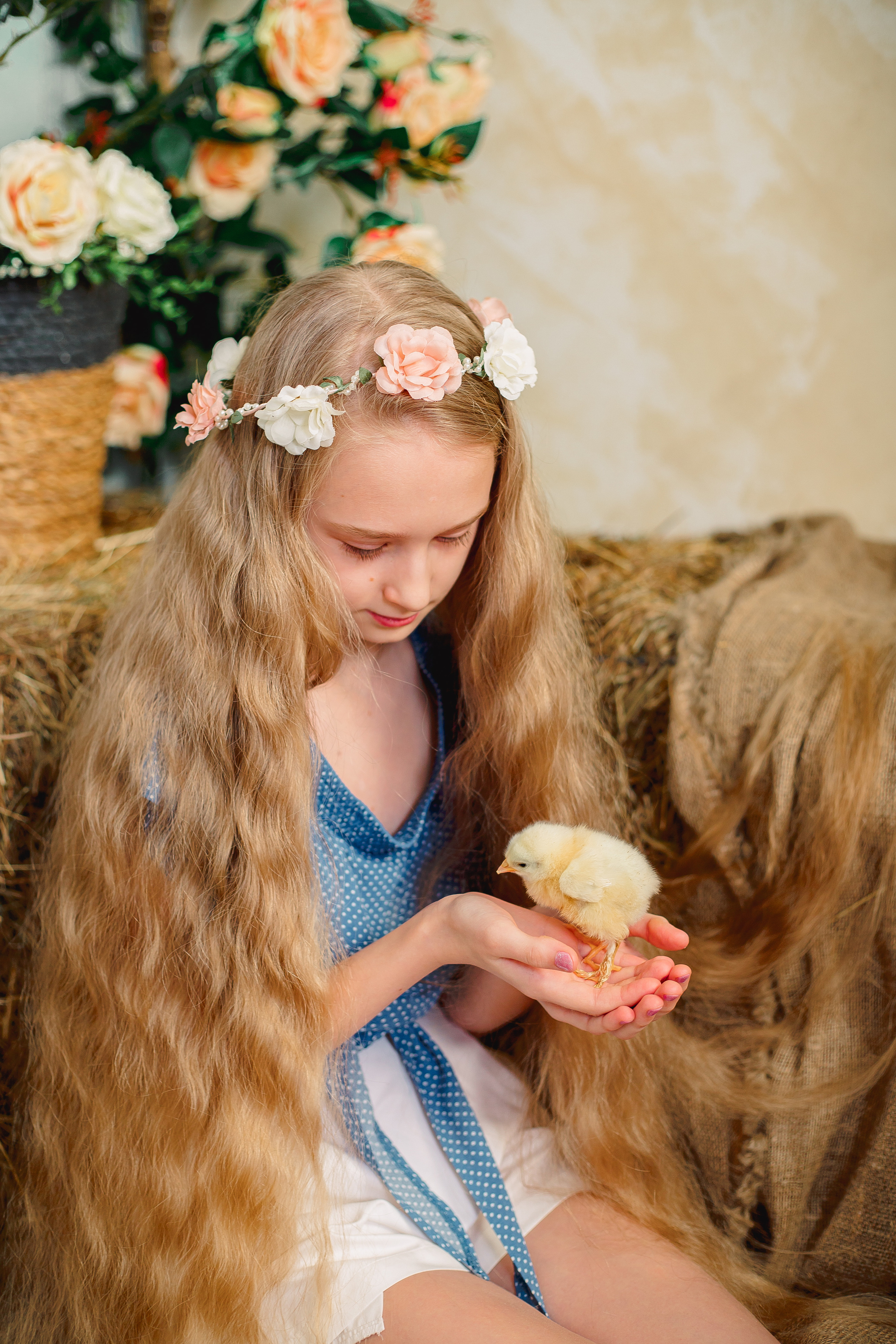 Фотодень с цыплятами Спб. Фотограф в Санкт-Петербурге, Анна Скворцова