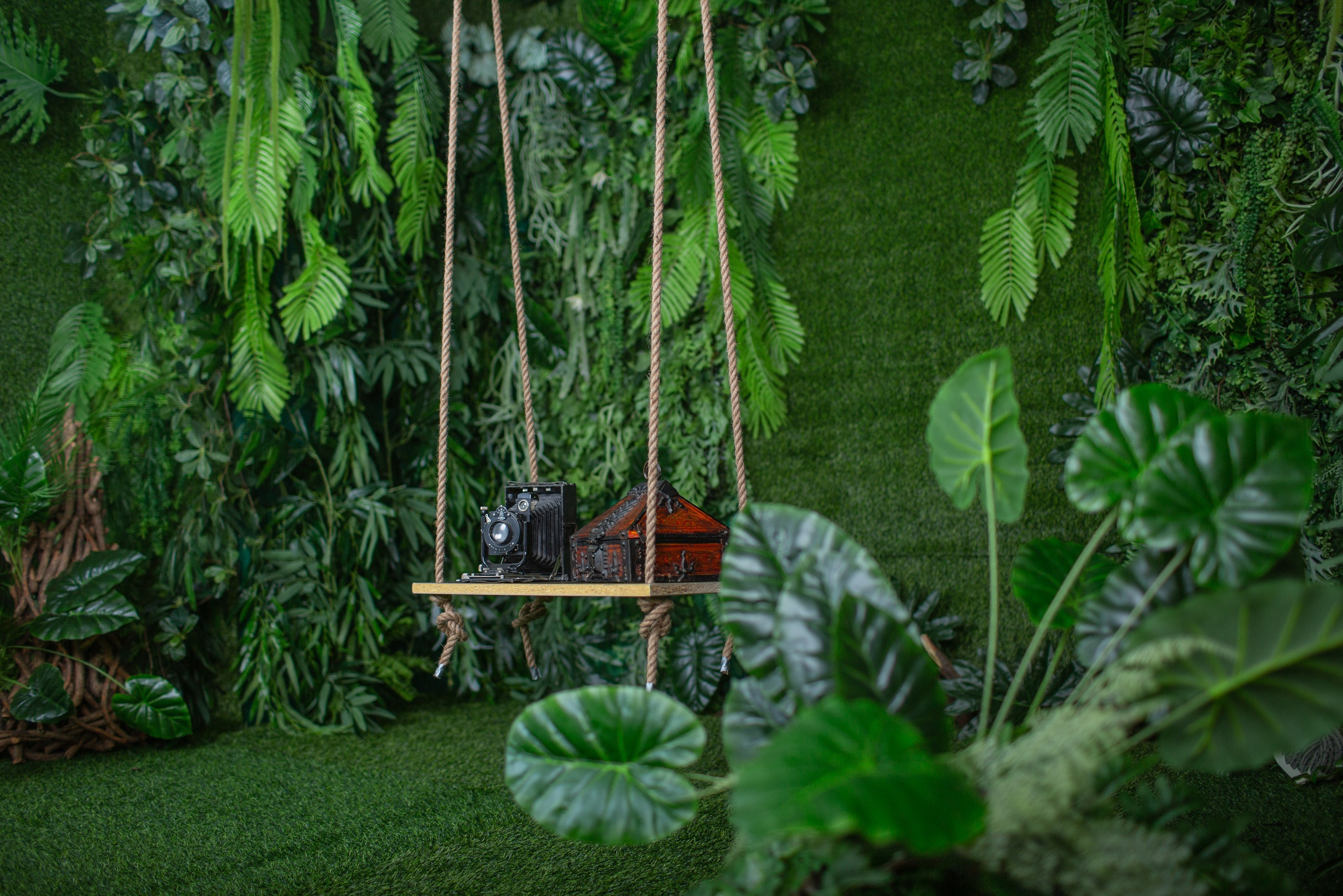 Качель в зале Тропик