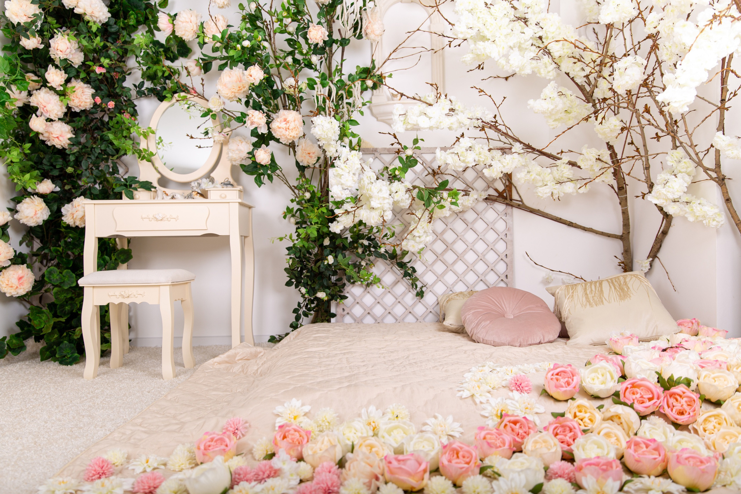 Фотостудия Olfi, зал олфи