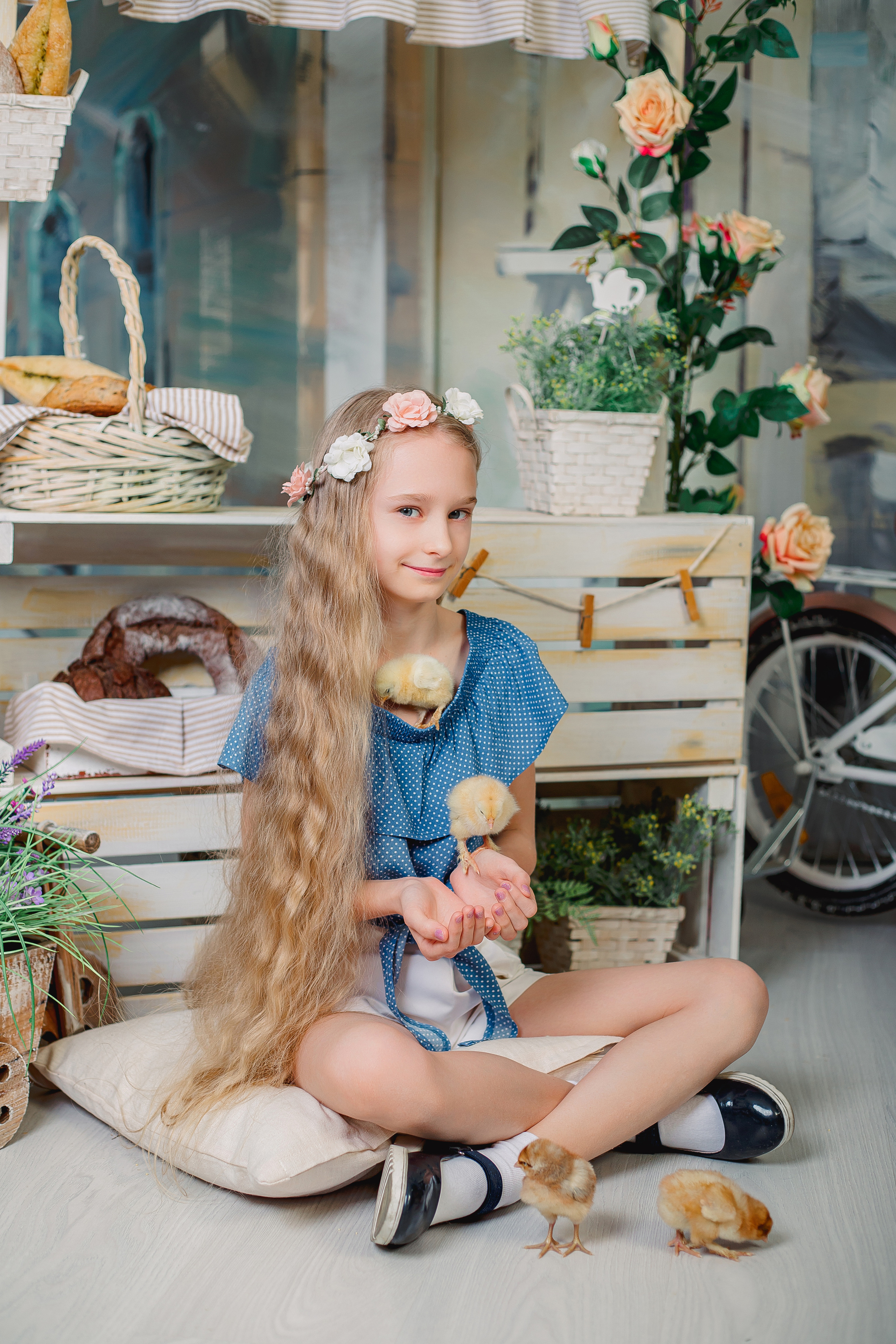 Фотодень с цыплятами Спб. Фотограф в Санкт-Петербурге, Анна Скворцова