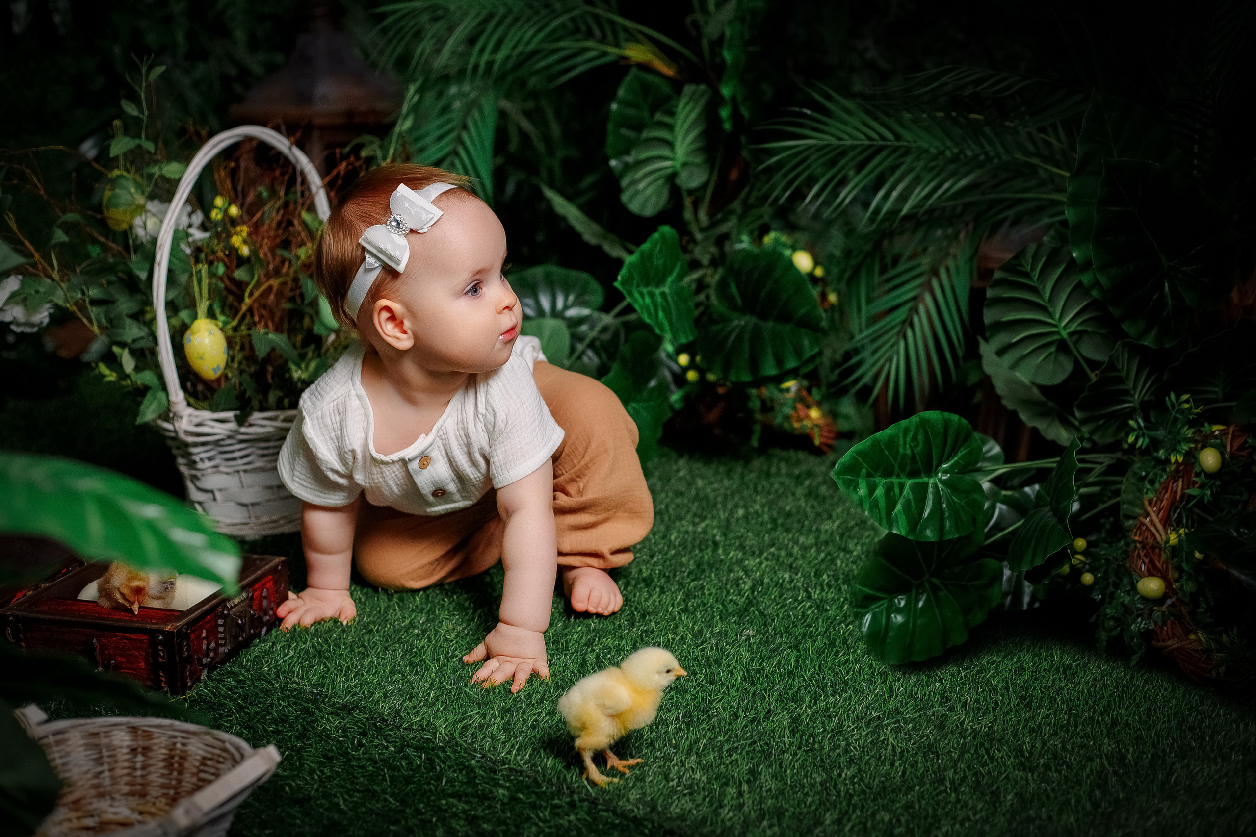 Фотодень с цыплятами Спб. Фотограф в Санкт-Петербурге, Анна Скворцова