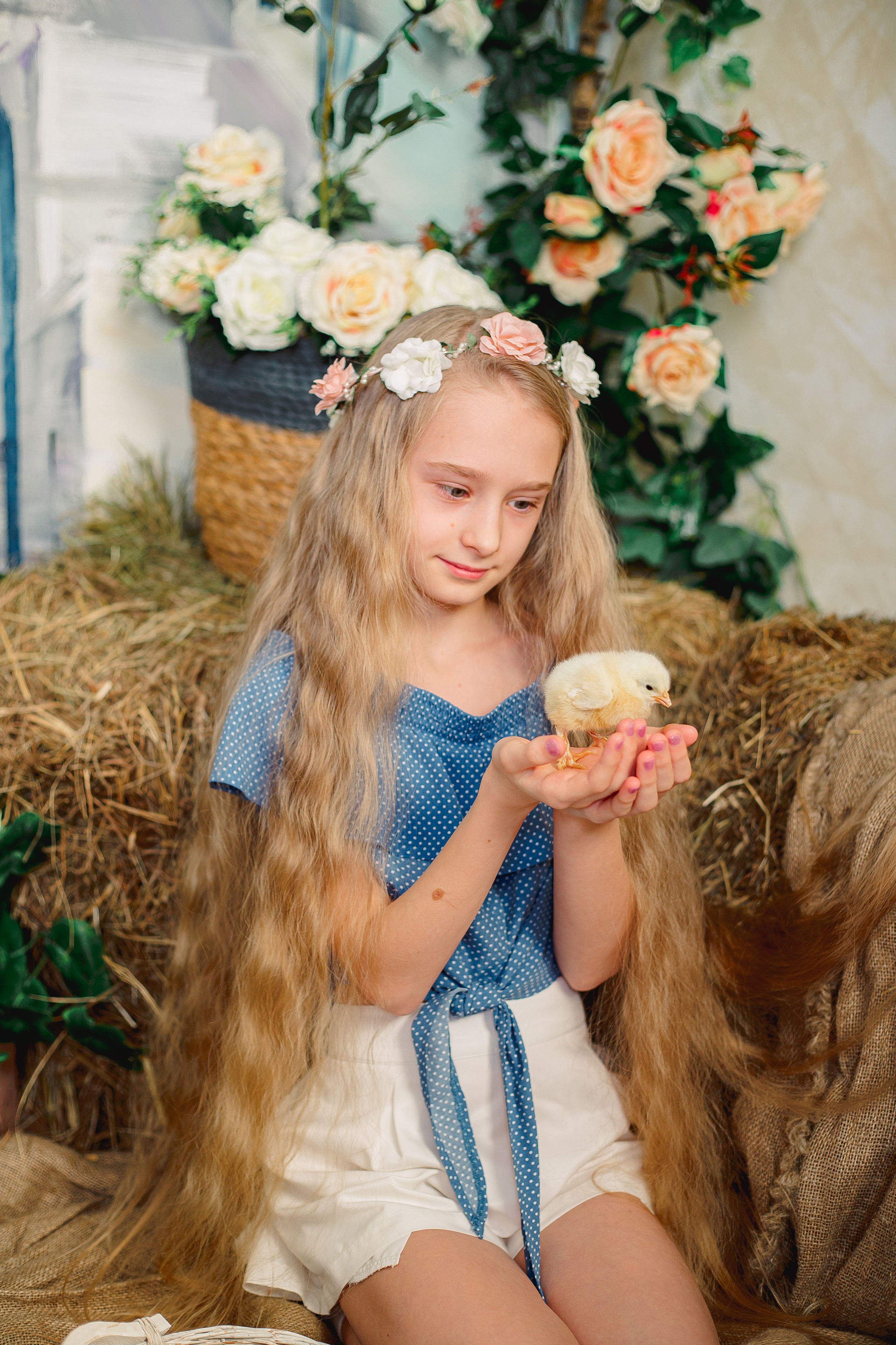 Фотодень с цыплятами Спб. Фотограф в Санкт-Петербурге, Анна Скворцова