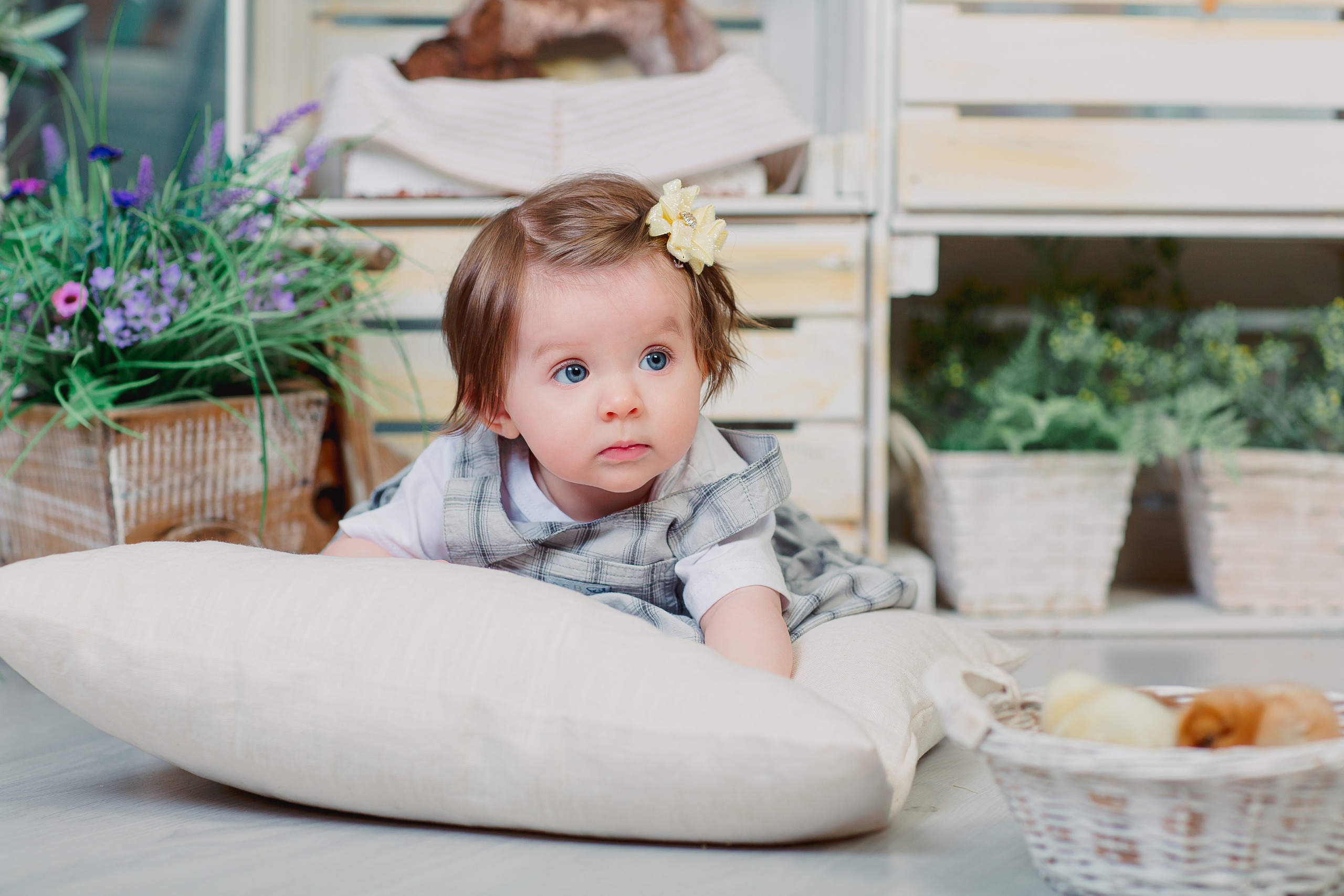 Фотодень с цыплятами Спб. Фотограф в Санкт-Петербурге, Анна Скворцова