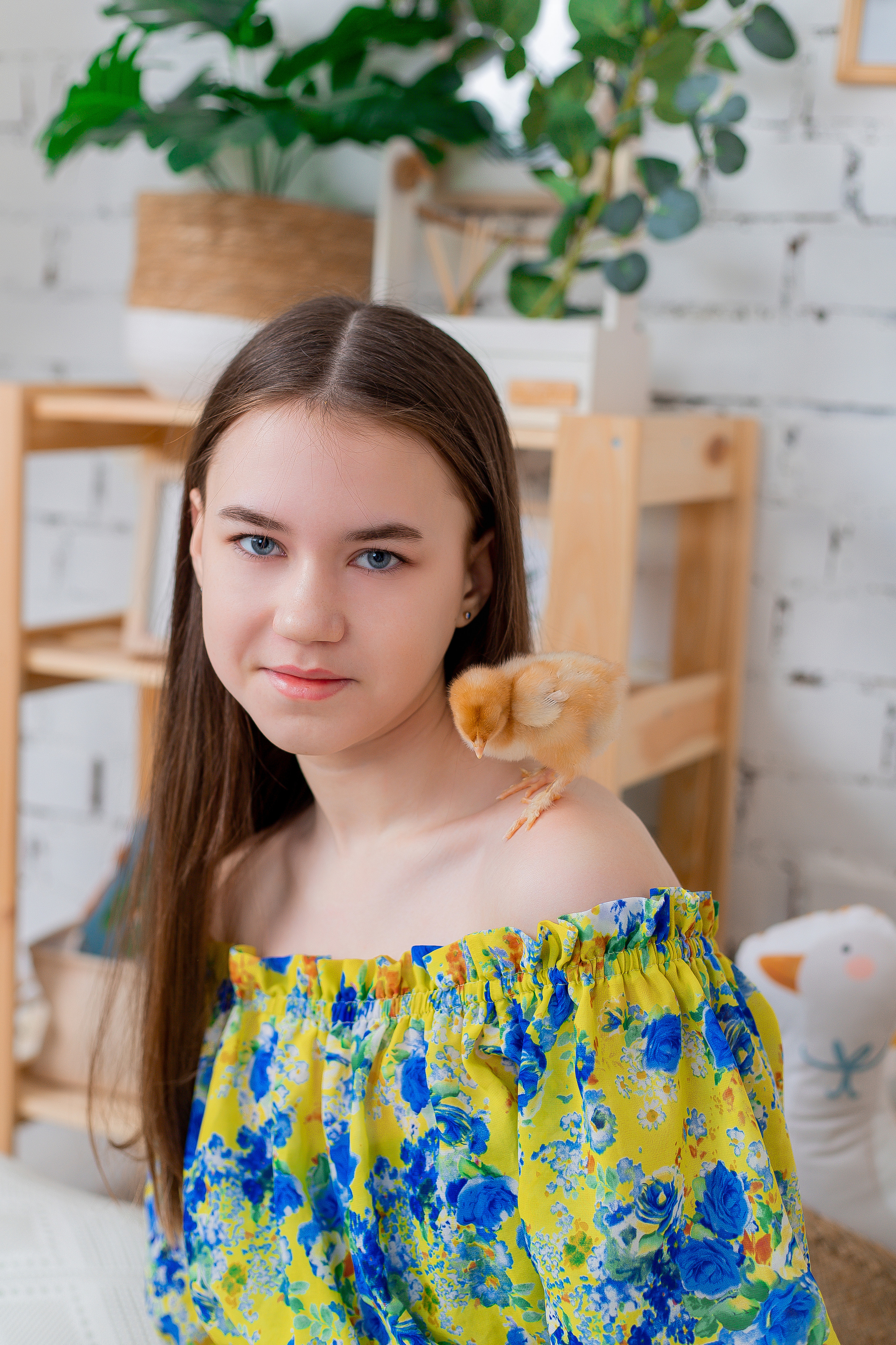 Фотодень с цыплятами Спб. Фотограф в Санкт-Петербурге, Анна Скворцова