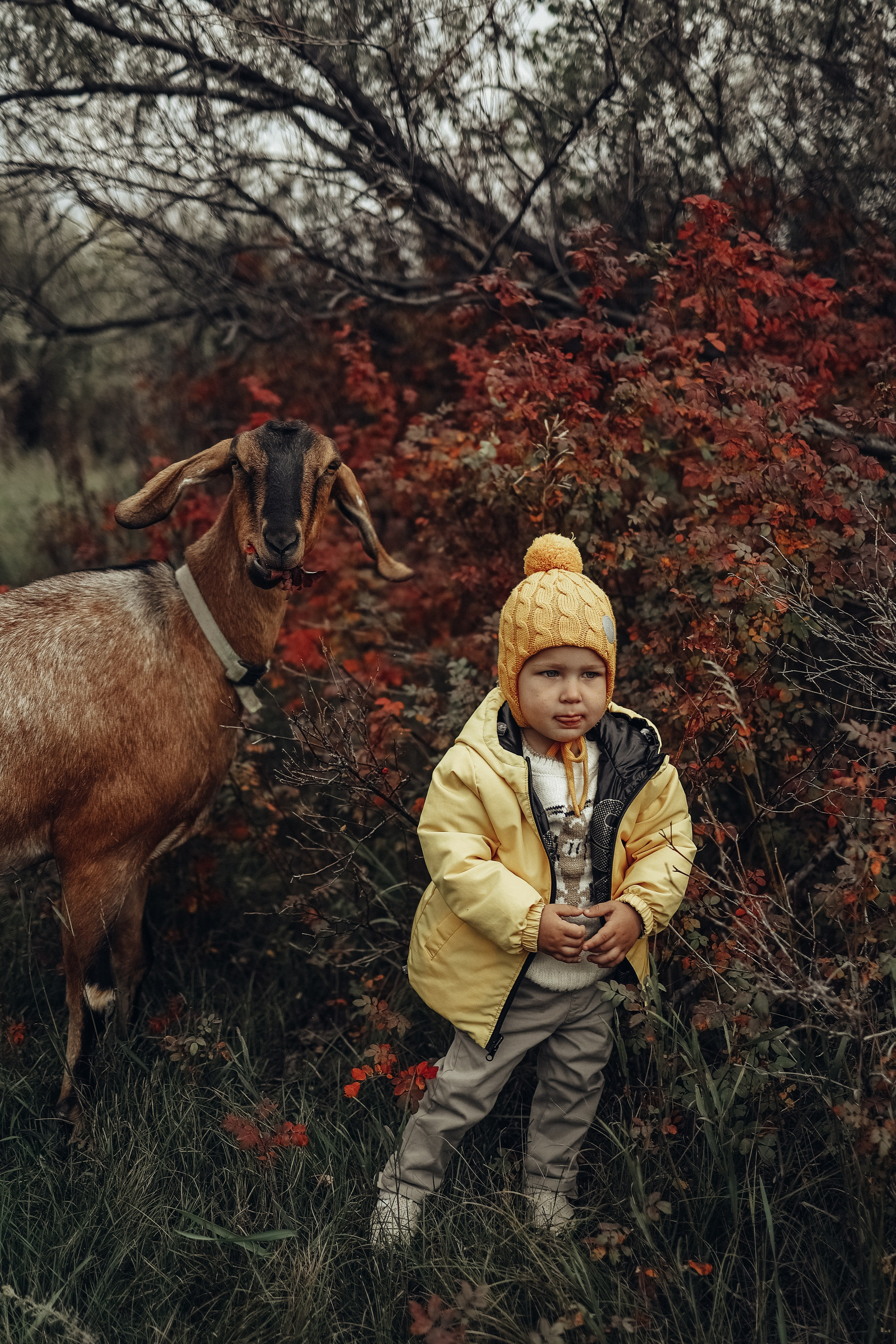 Семейная прогулочная съёмка. Фотограф в Астане Элина Багинская