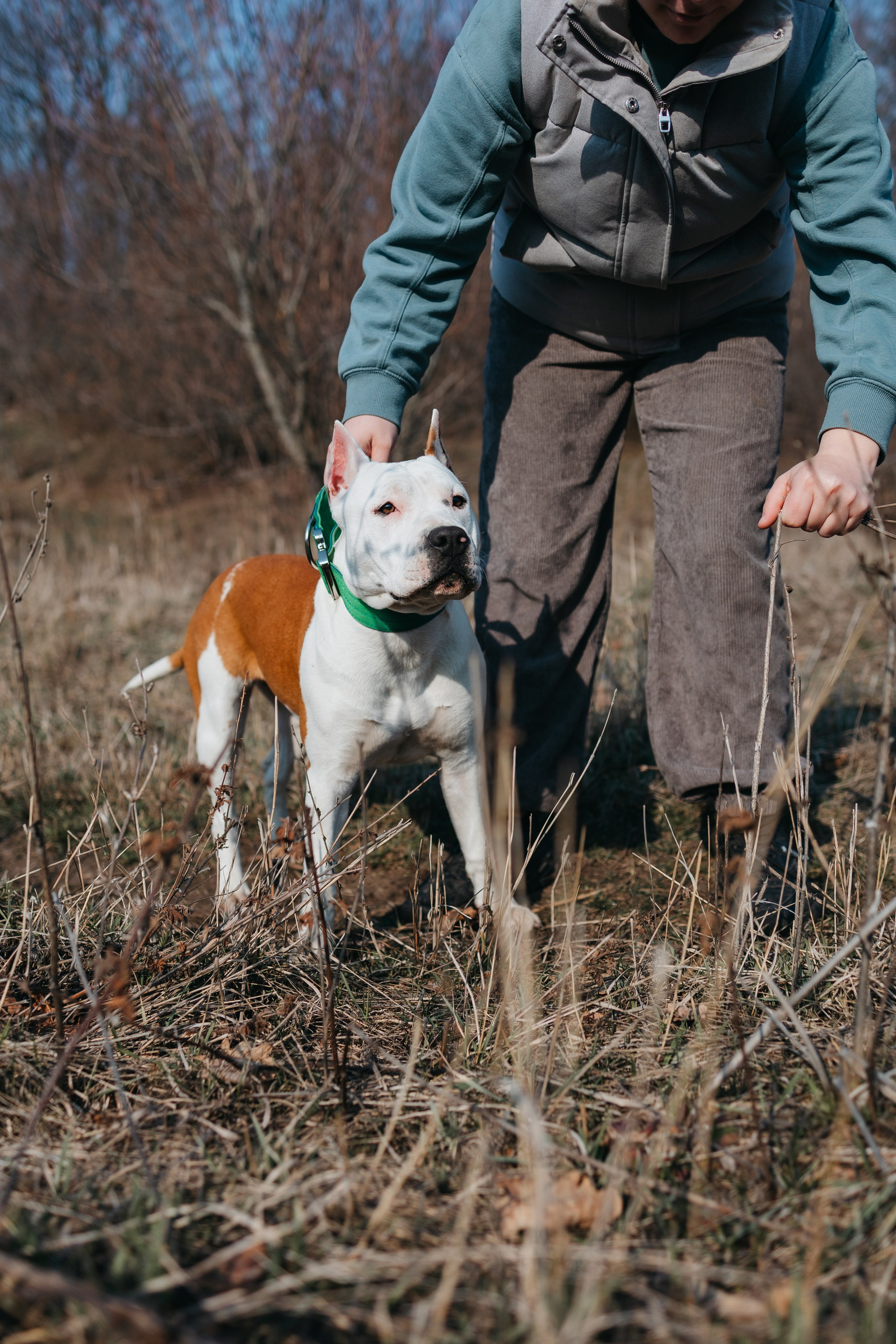 Лера, Ума и Винни. Фотограф — анималист Светлана Кысса|фотограф собак в Краснодаре и Нижнем Новгороде