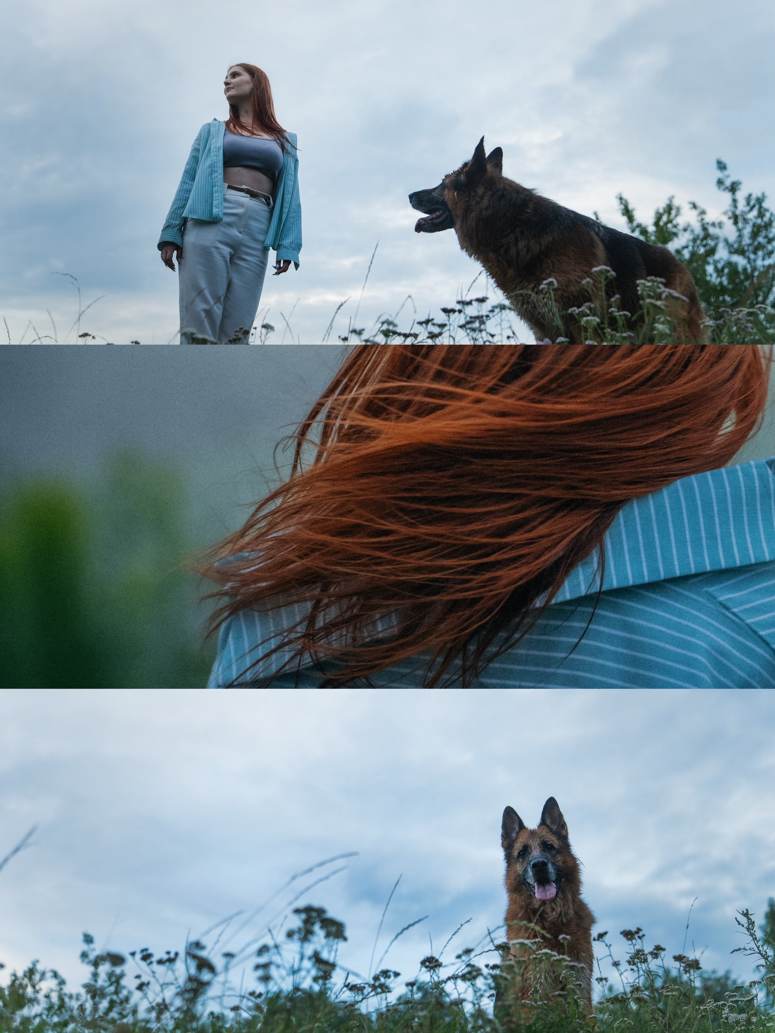 Вика и Фрея. Фотограф анималист в Москве и Санкт-Петербурге Свиридова Анна