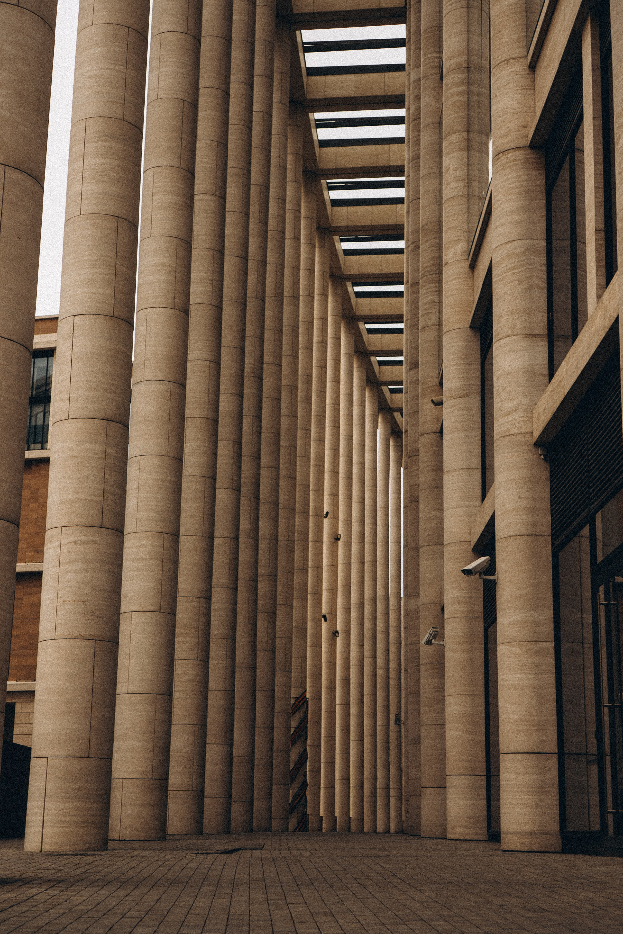 СВАДЕБНАЯ ПРОГУЛКА ПО ТАВРИЧЕСКОМУ САДУ И НЕВСКОЙ РАТУШЕ. Профессиональный фотограф, Санкт-Петербург — Виктория Богомолова