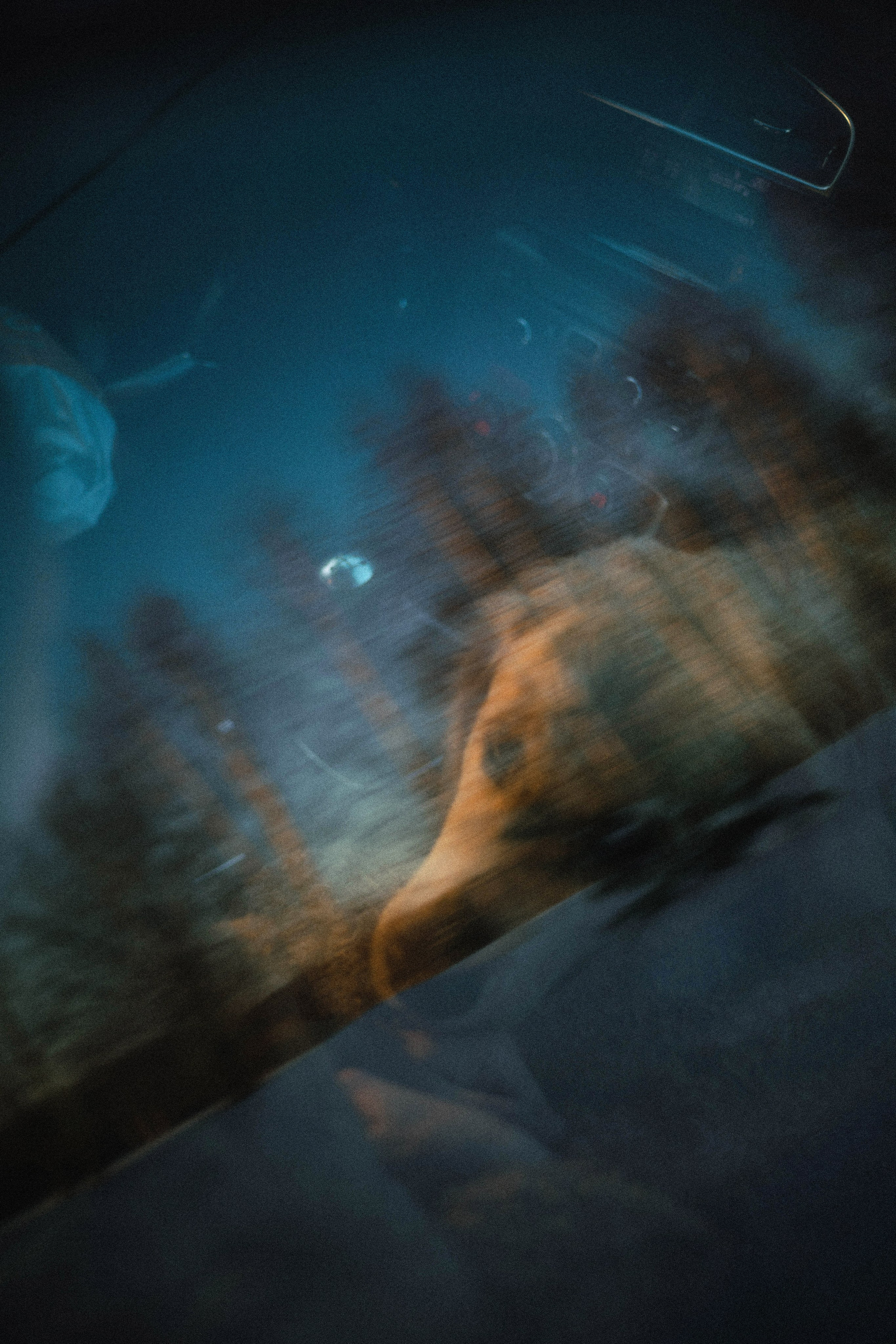 Лена и Декстер. Фотограф-анималист Богданова Полина