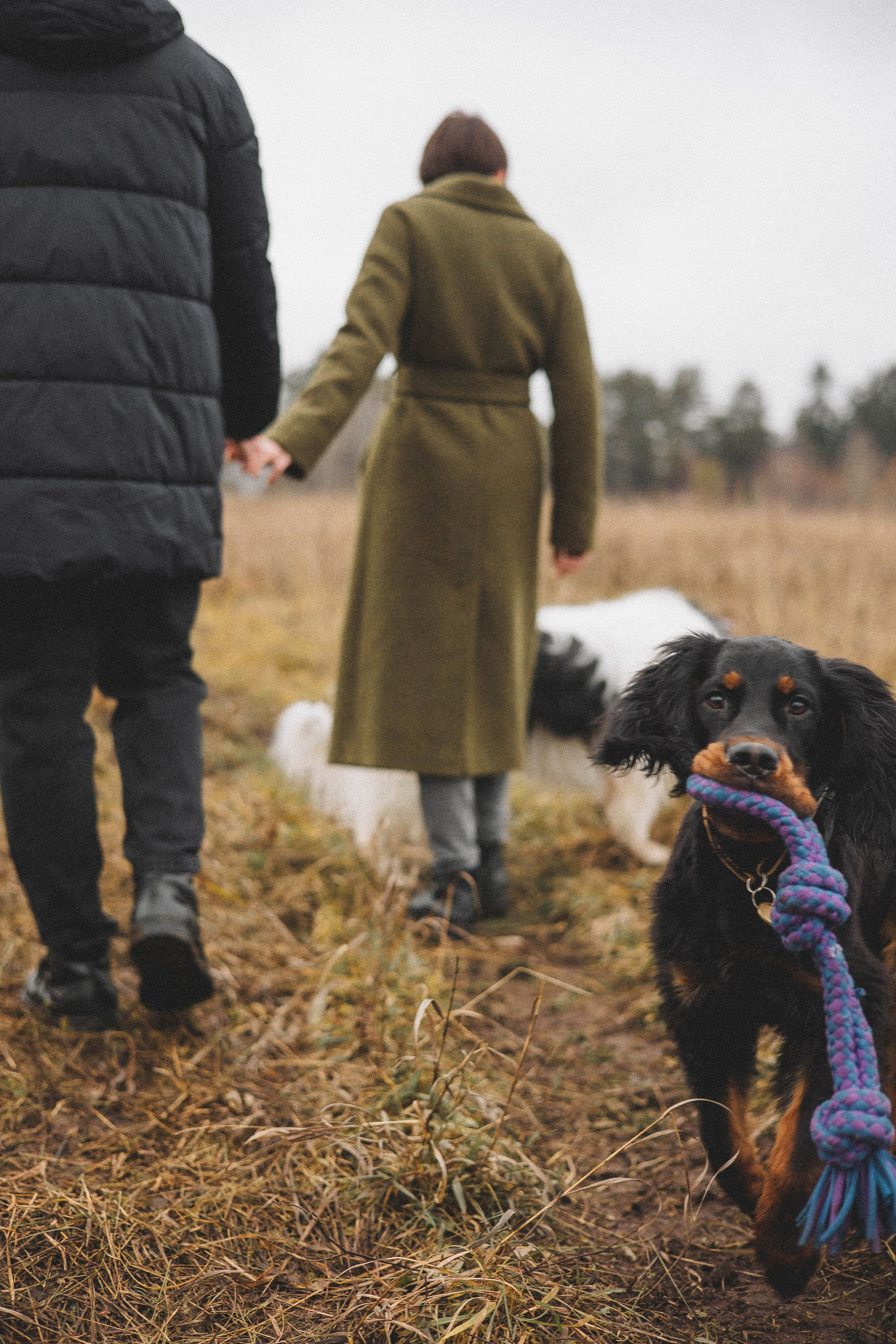 Даша, Глеб, Барс и Бруно. Фотограф-анималист Богданова Полина