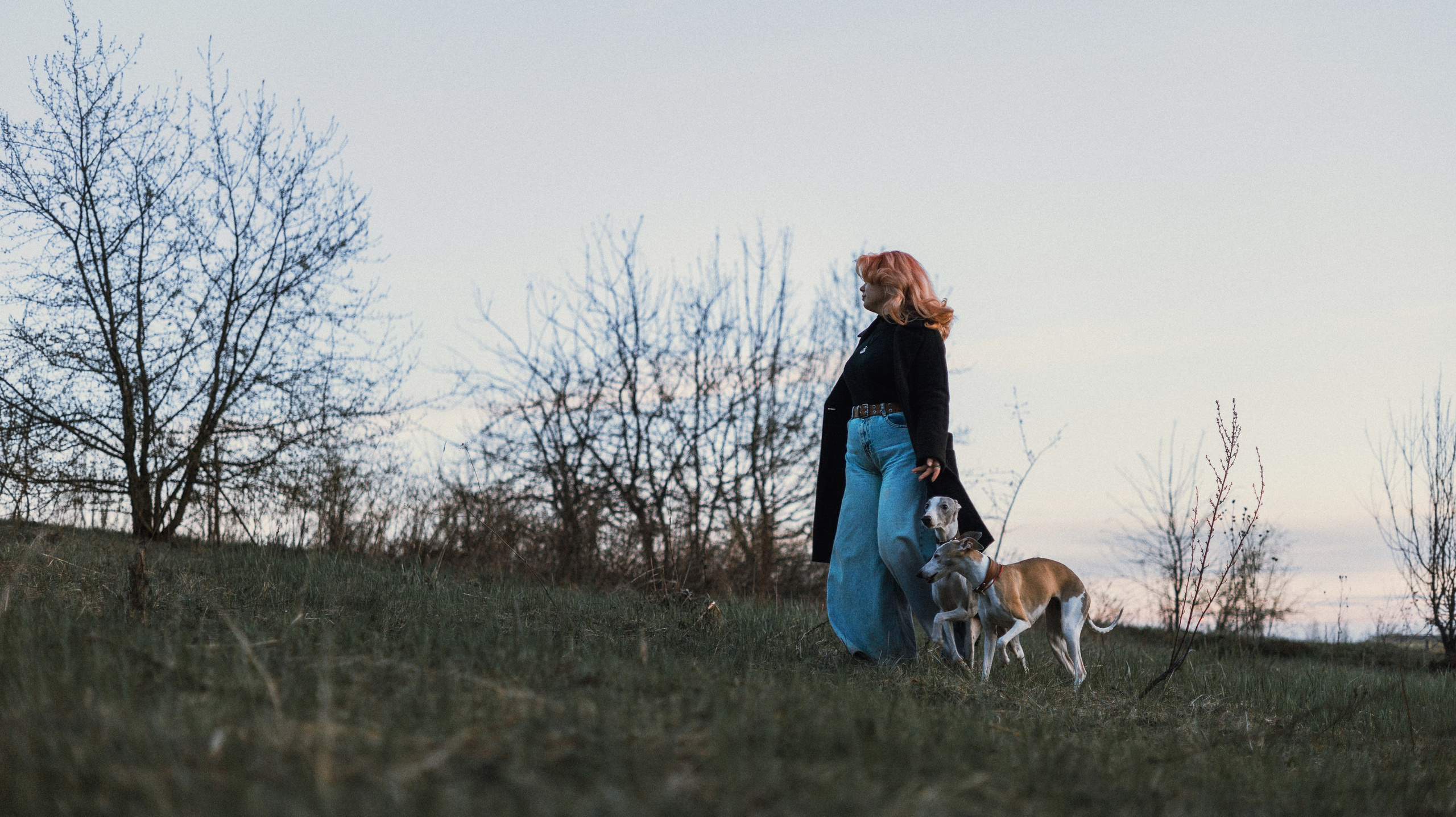 Вика, Джем и Белла. Фотограф-анималист Богданова Полина