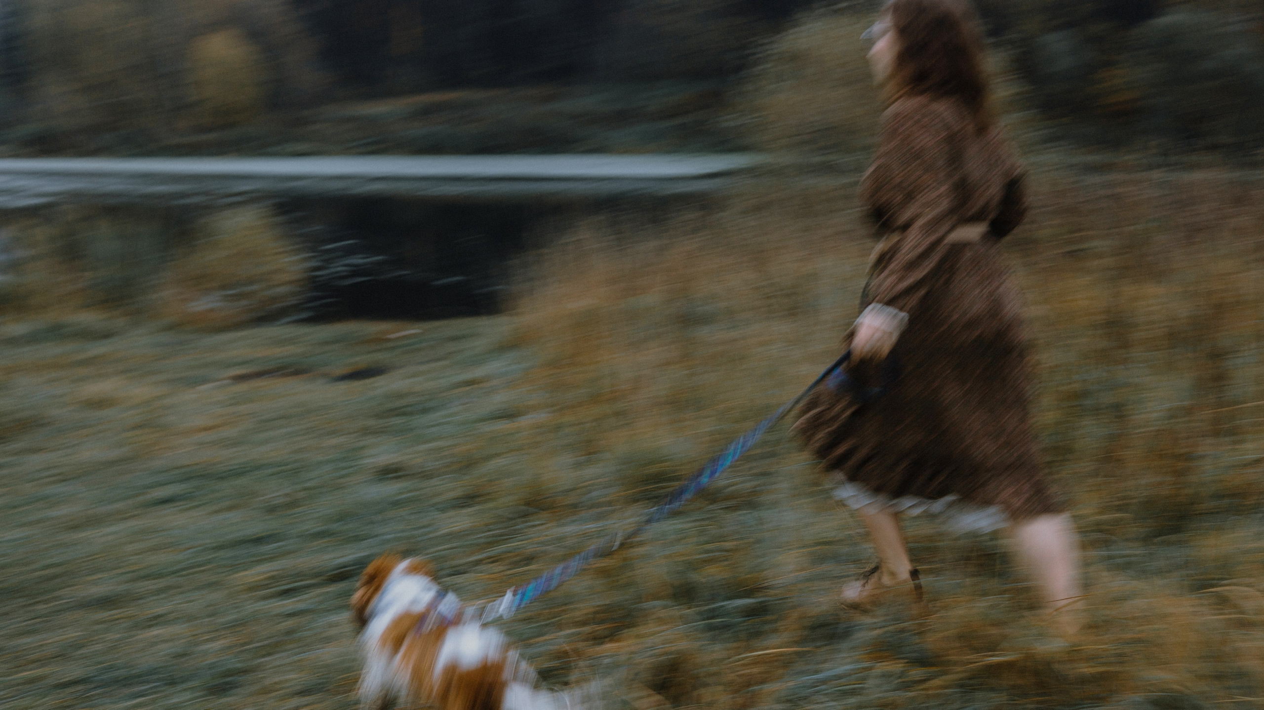 Маша и Дарси. Фотограф-анималист Богданова Полина