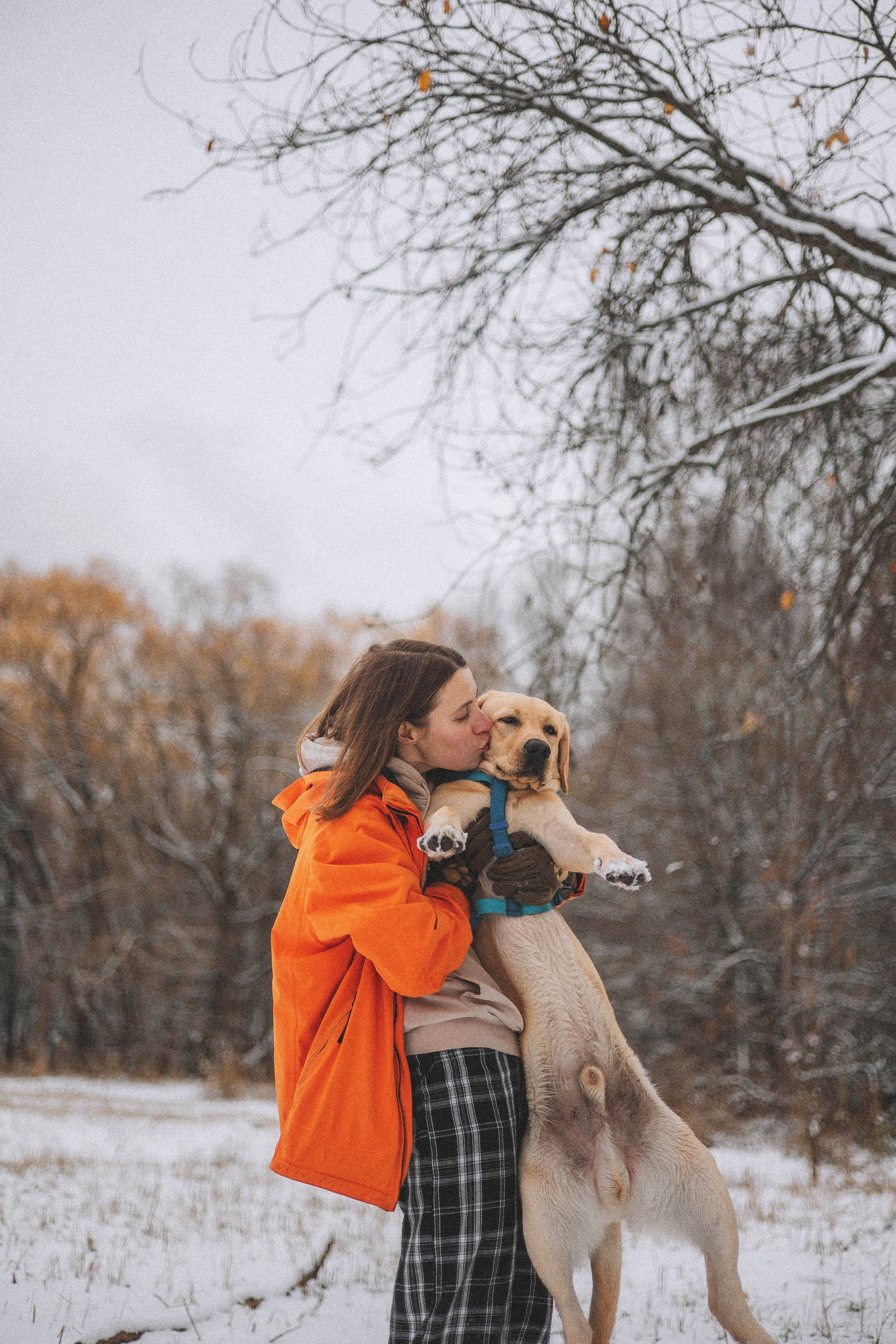 Маргарита и Варди. Фотограф-анималист Богданова Полина