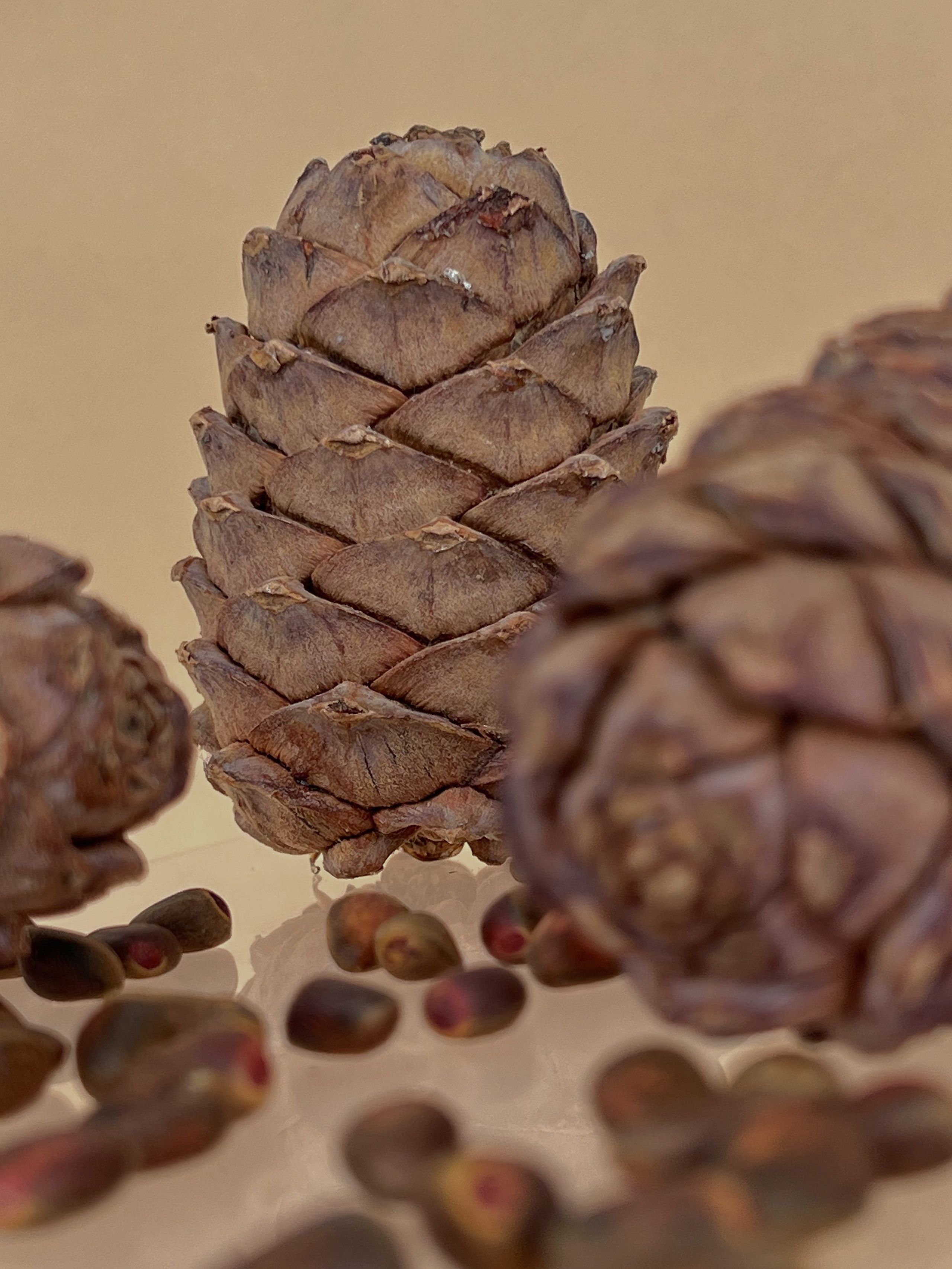 BaikalPro / Байкальские сувениры. Контент-фотограф в Иркутске Мохирева Мария