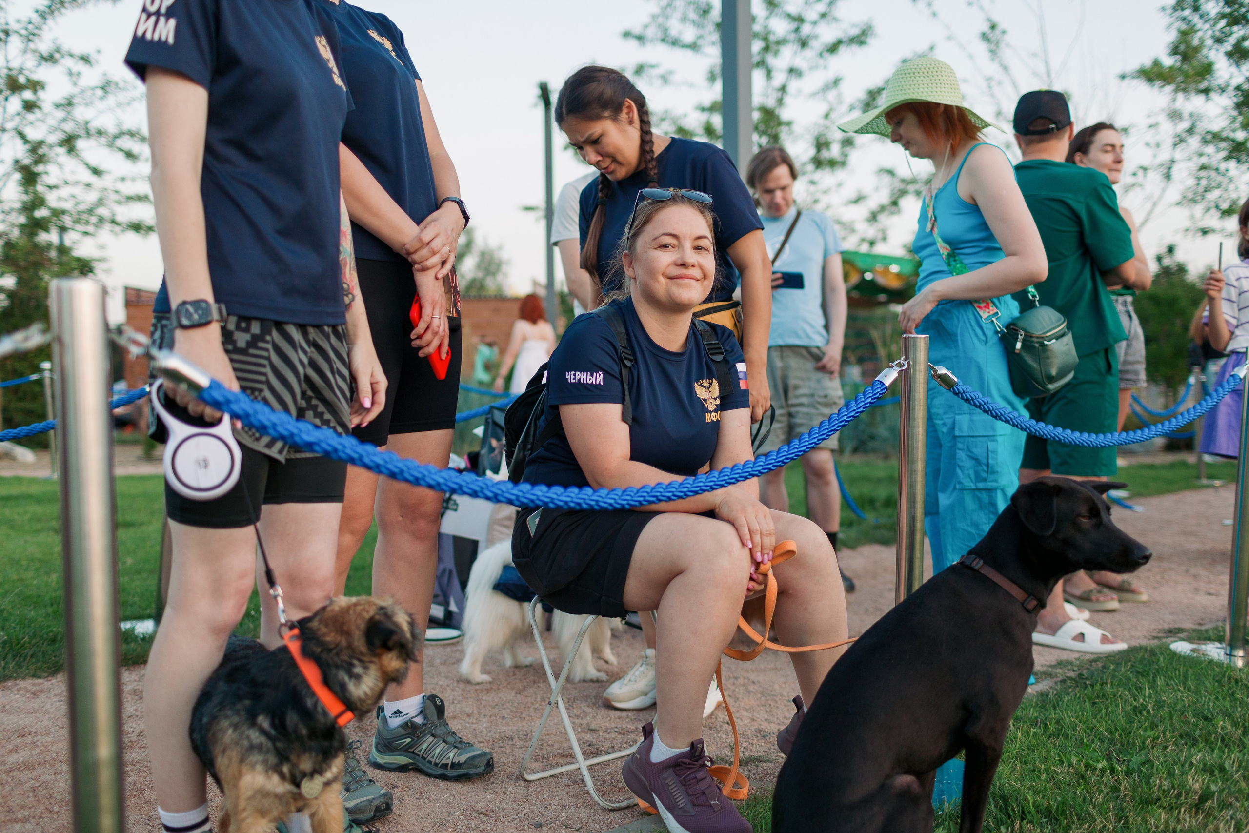 Dog Fest 2024. Главная