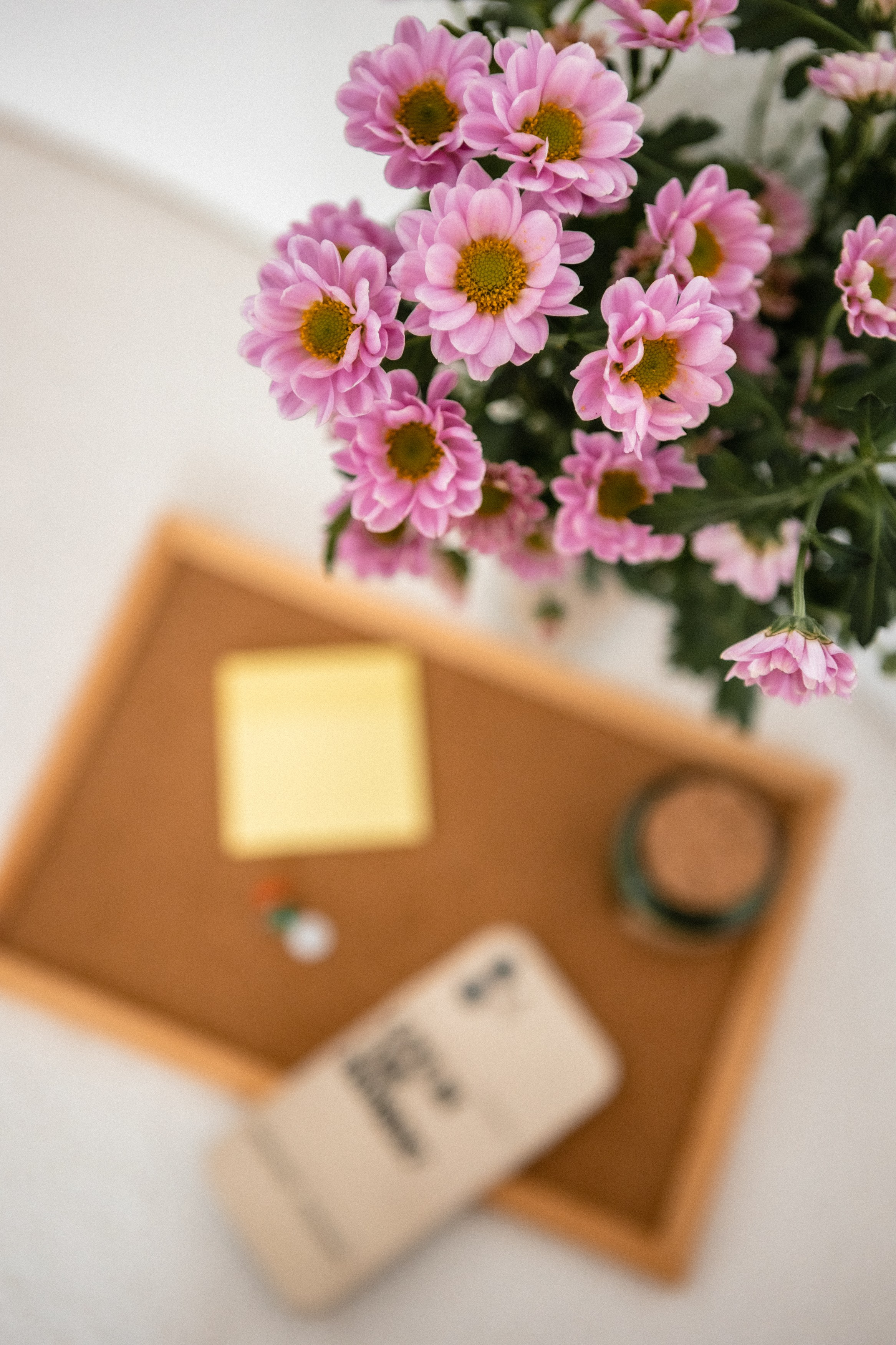 Анастасия. Фотосессия для контента. Фотограф Москва и Московская область