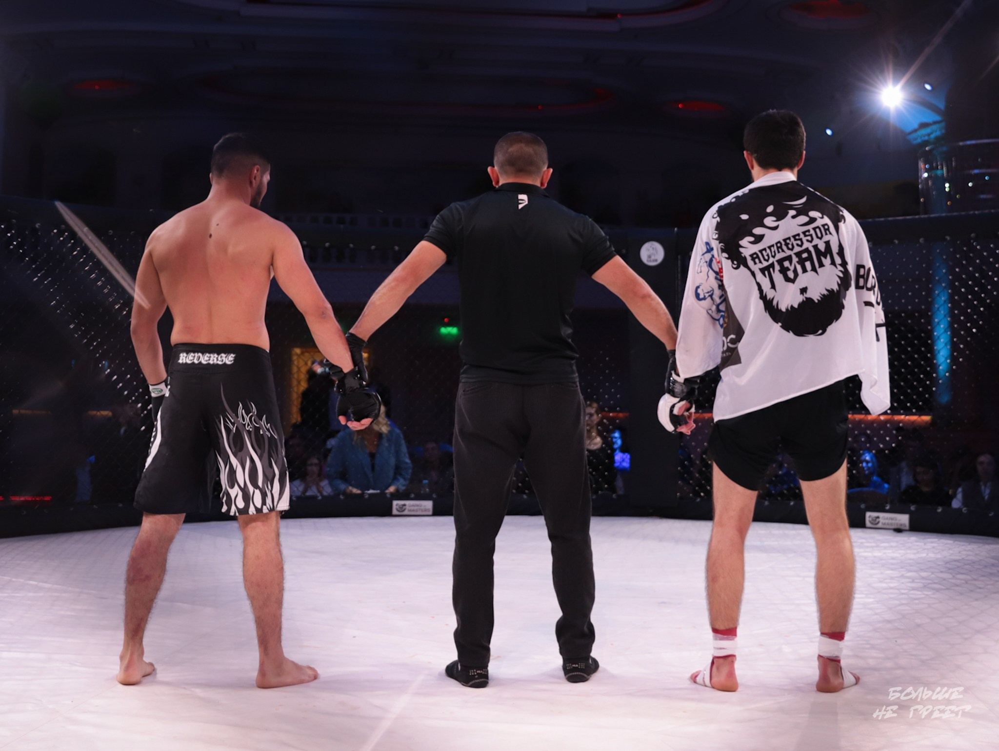 SABR FIGHTING. Больше не греет