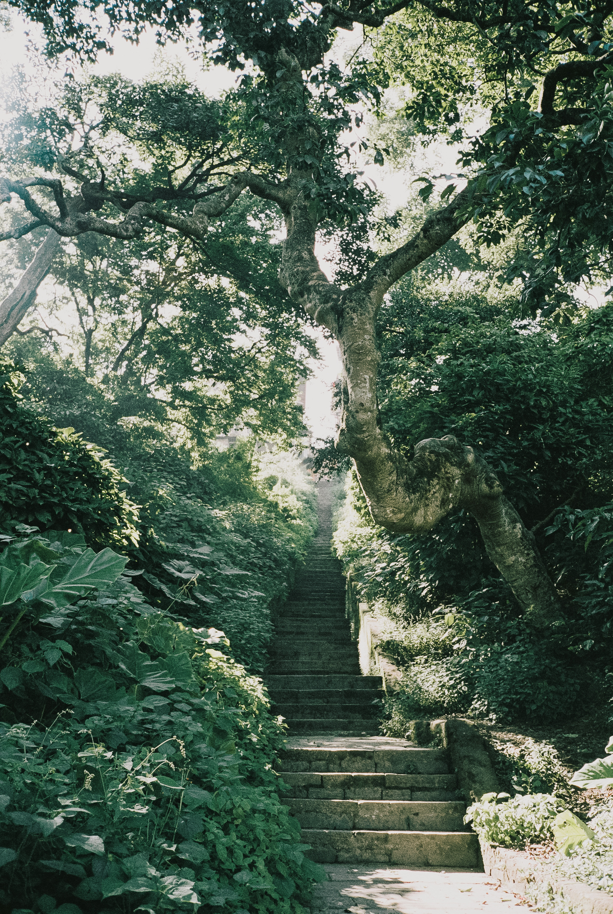 Путешествие в Непал, 2019. Фотограф Андрей Михайлов, Москва