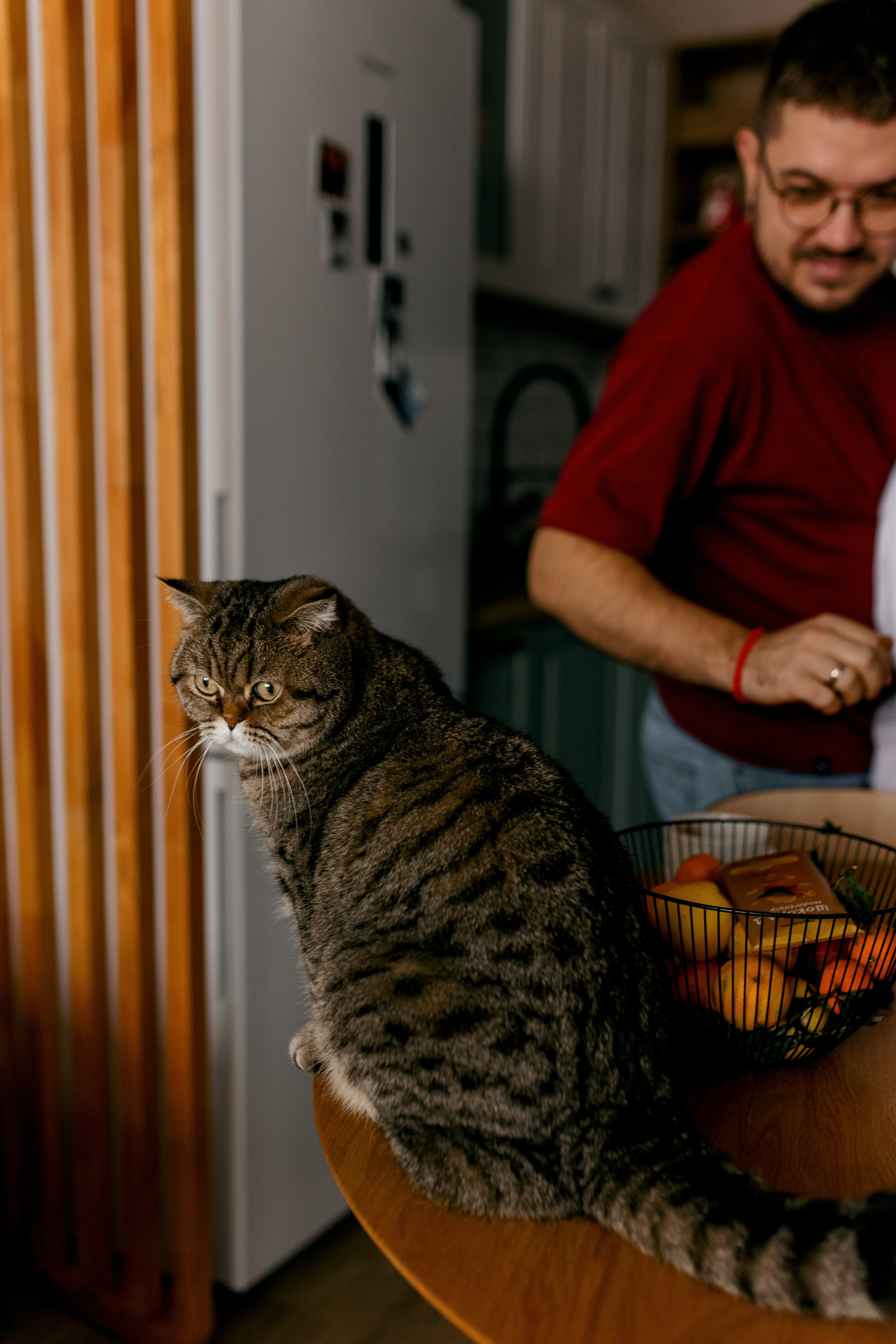 Никита и Кристина. Свадебный и семейный фотограф в Туле и области Маша Костина