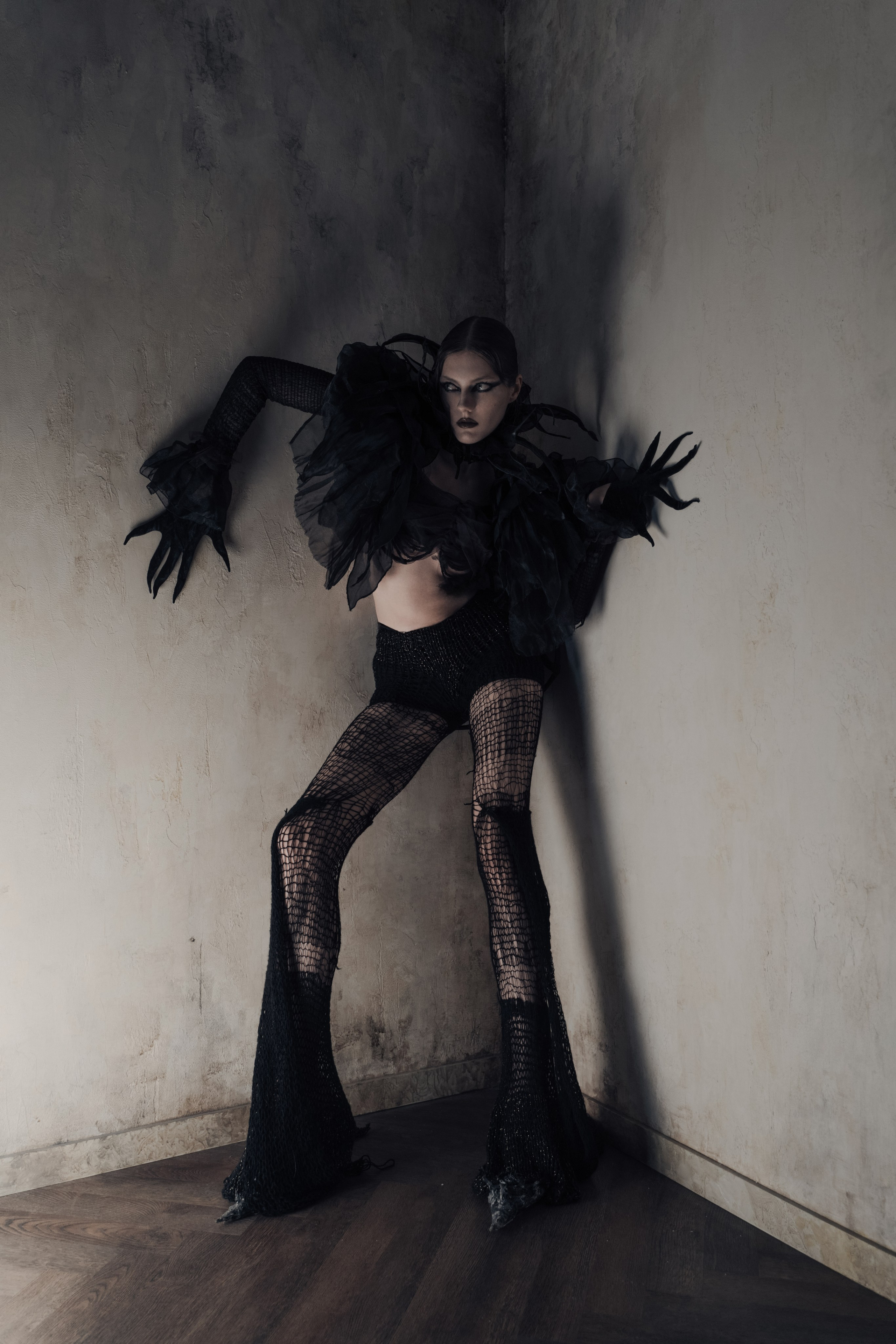 Паук. Фотограф Anita Mivchas