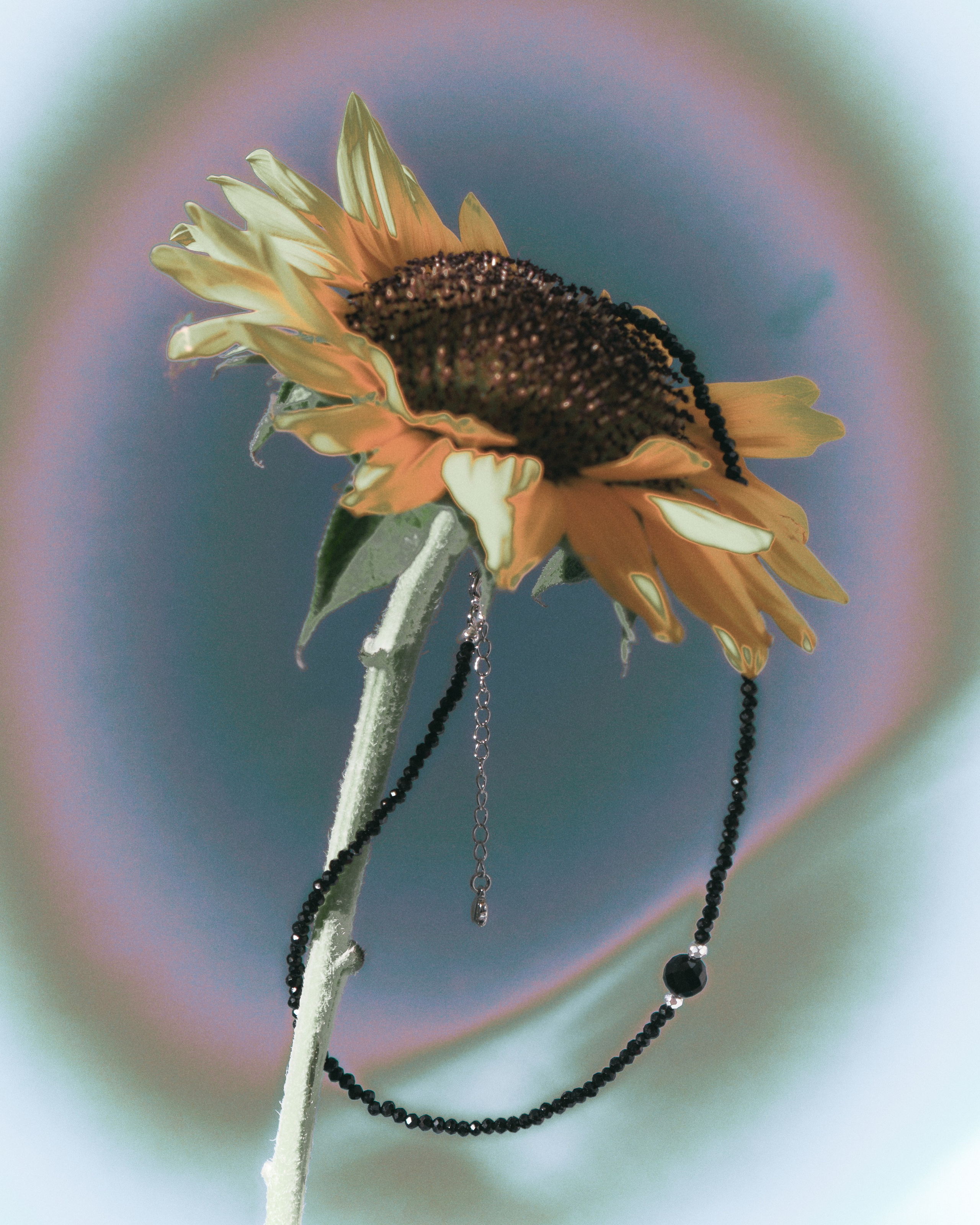 · OBJECTS ·. Фотограф и арт-директор в Алматы