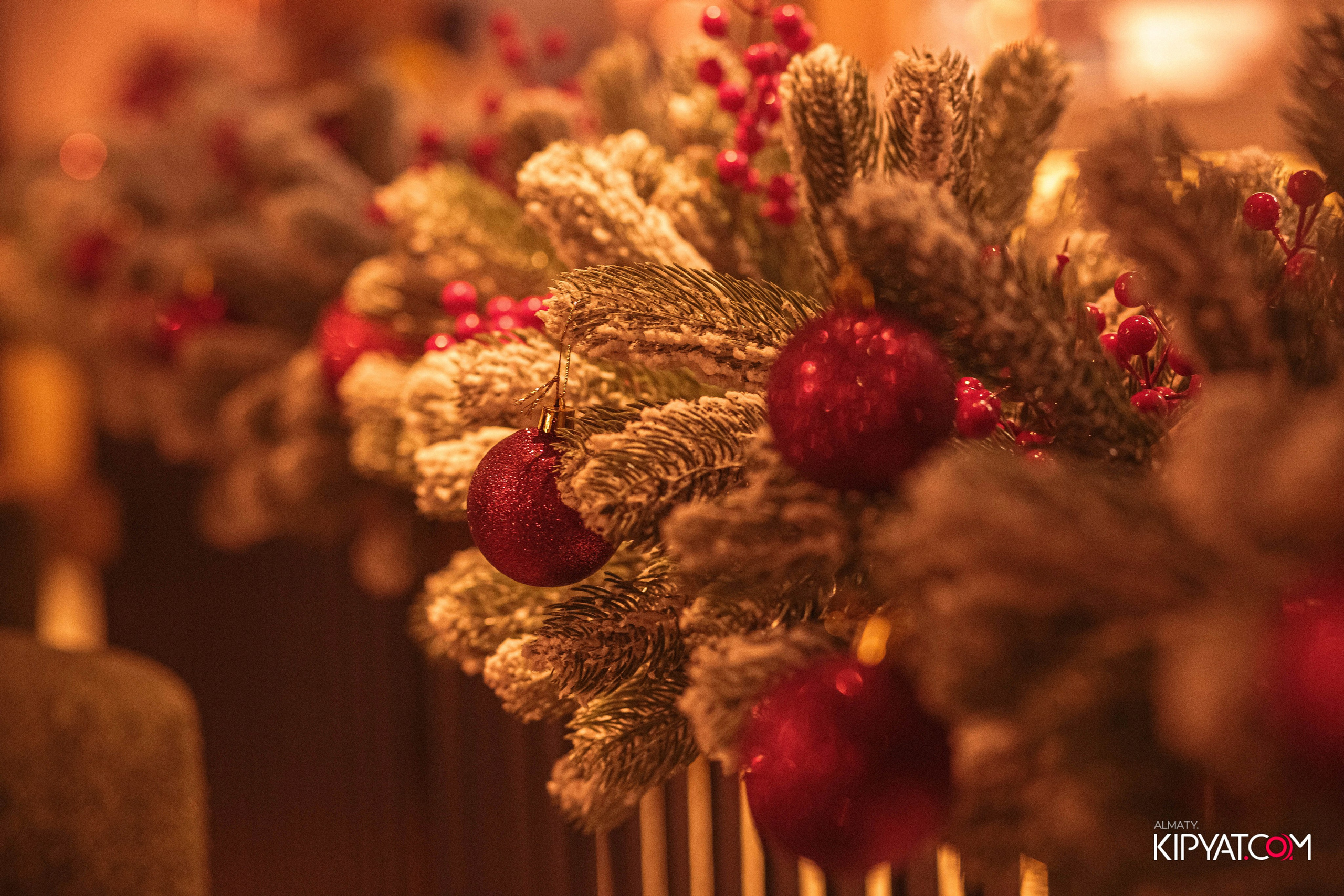 URBAN COFFEE MIRAS. КИПЯТКОМ АЛМАТЫ! Фотосъемка мероприятий в Алматы